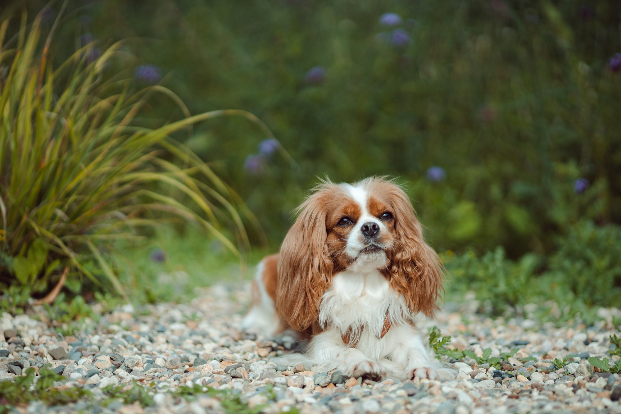 Фотосессия Анны и Элли. Художник и Фотограф Тимохина Юлия