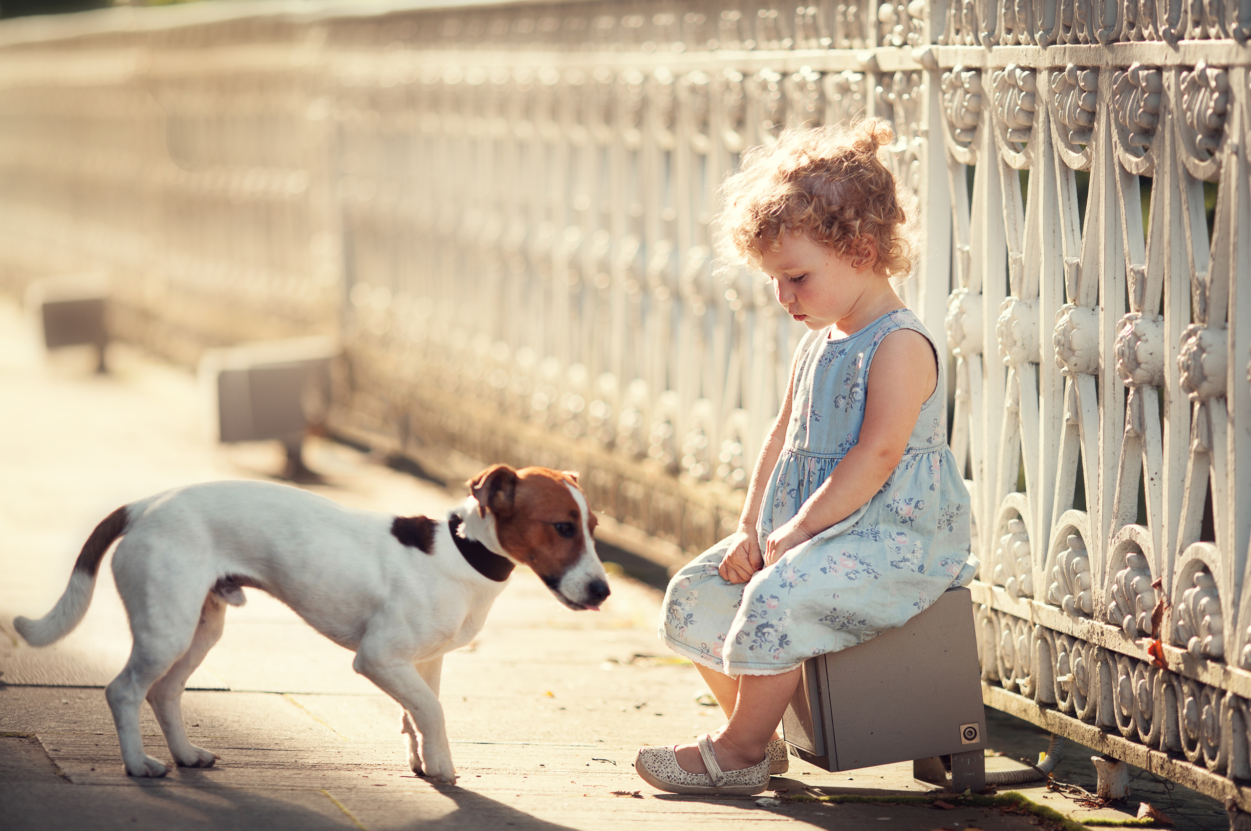 Фотосессия с животными. Детский и семейный фотограф Муксимова Ирина