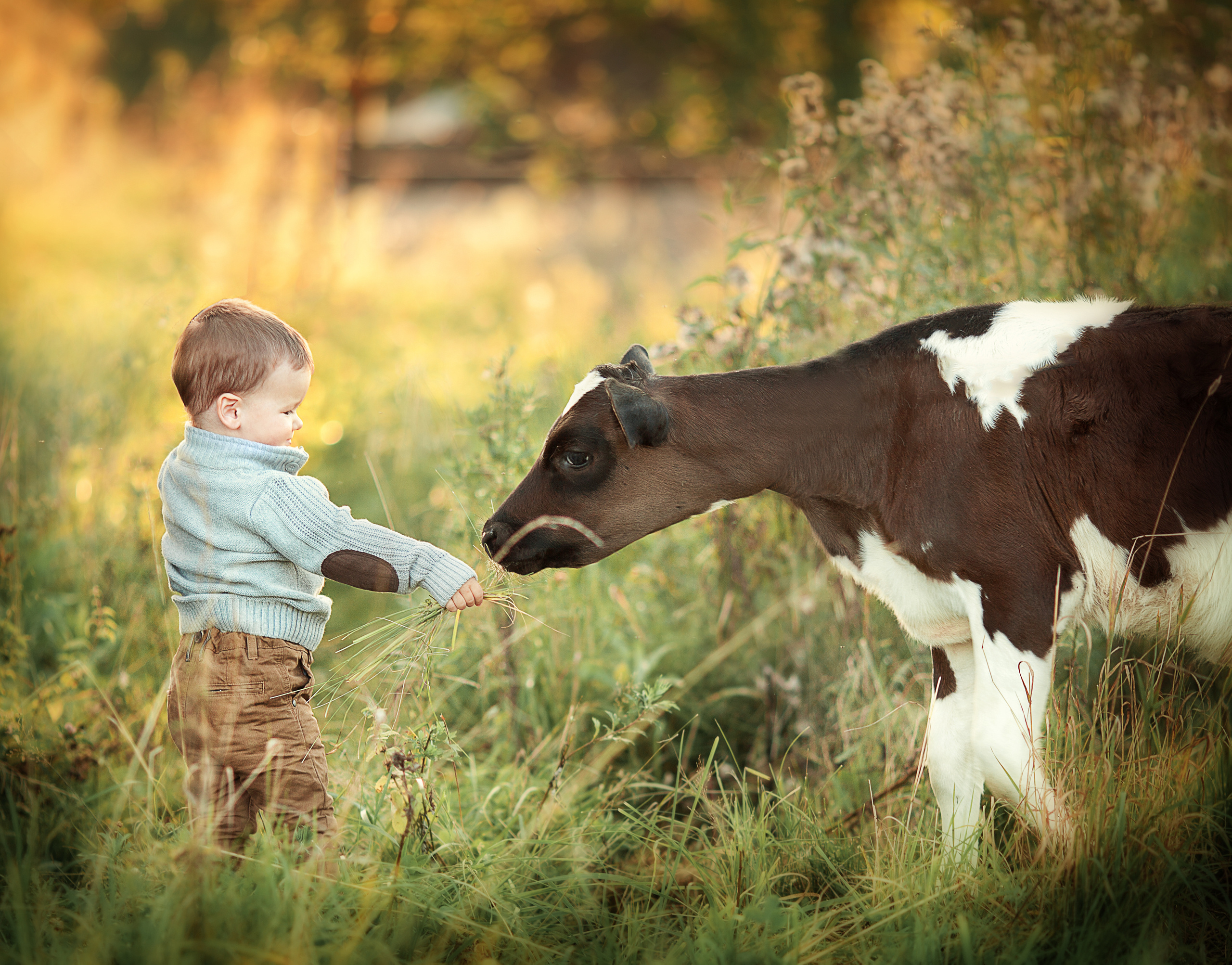 Фотосессия с животными. Детский и семейный фотограф Муксимова Ирина