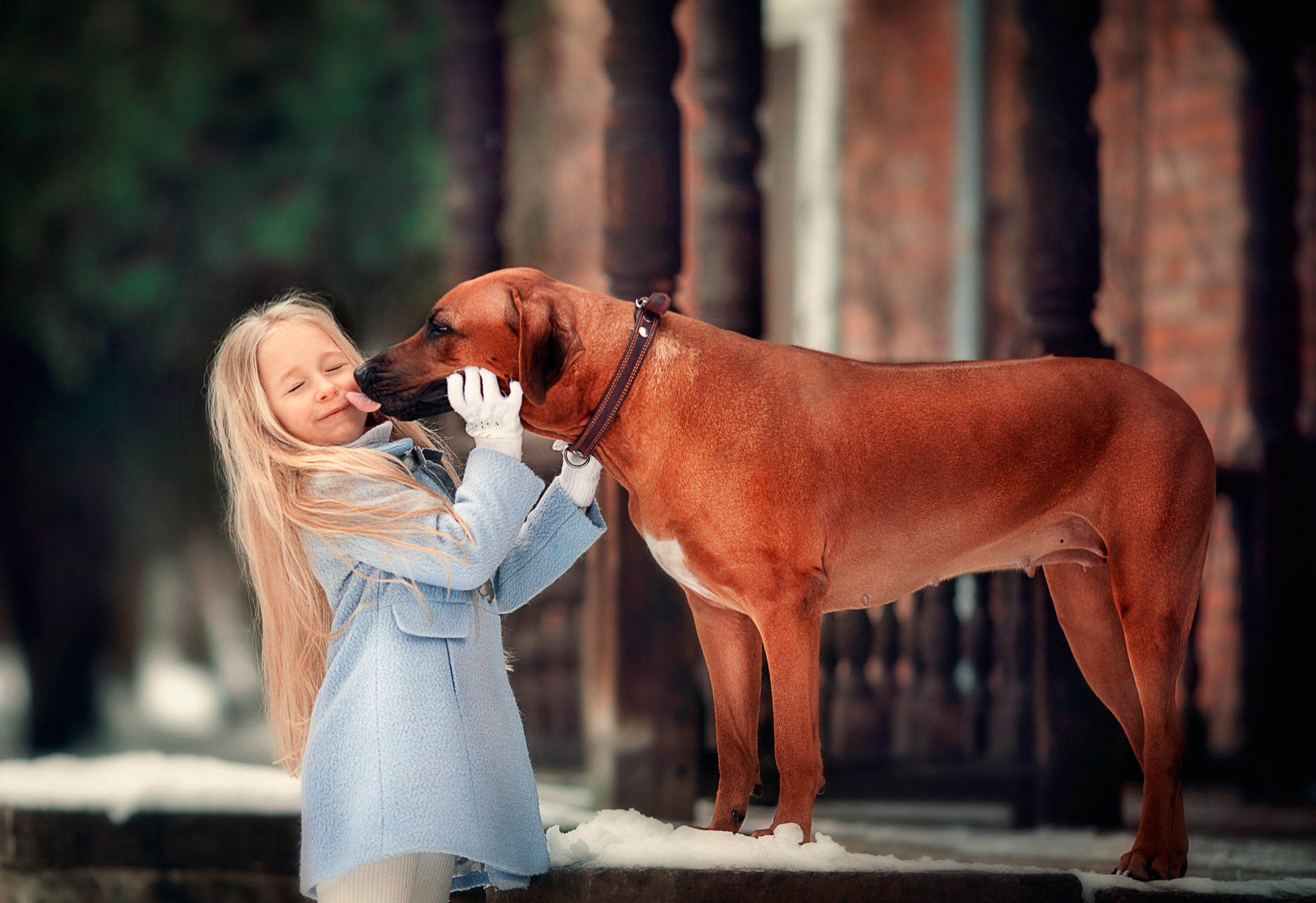 Фотосессия с животными. Детский и семейный фотограф Муксимова Ирина