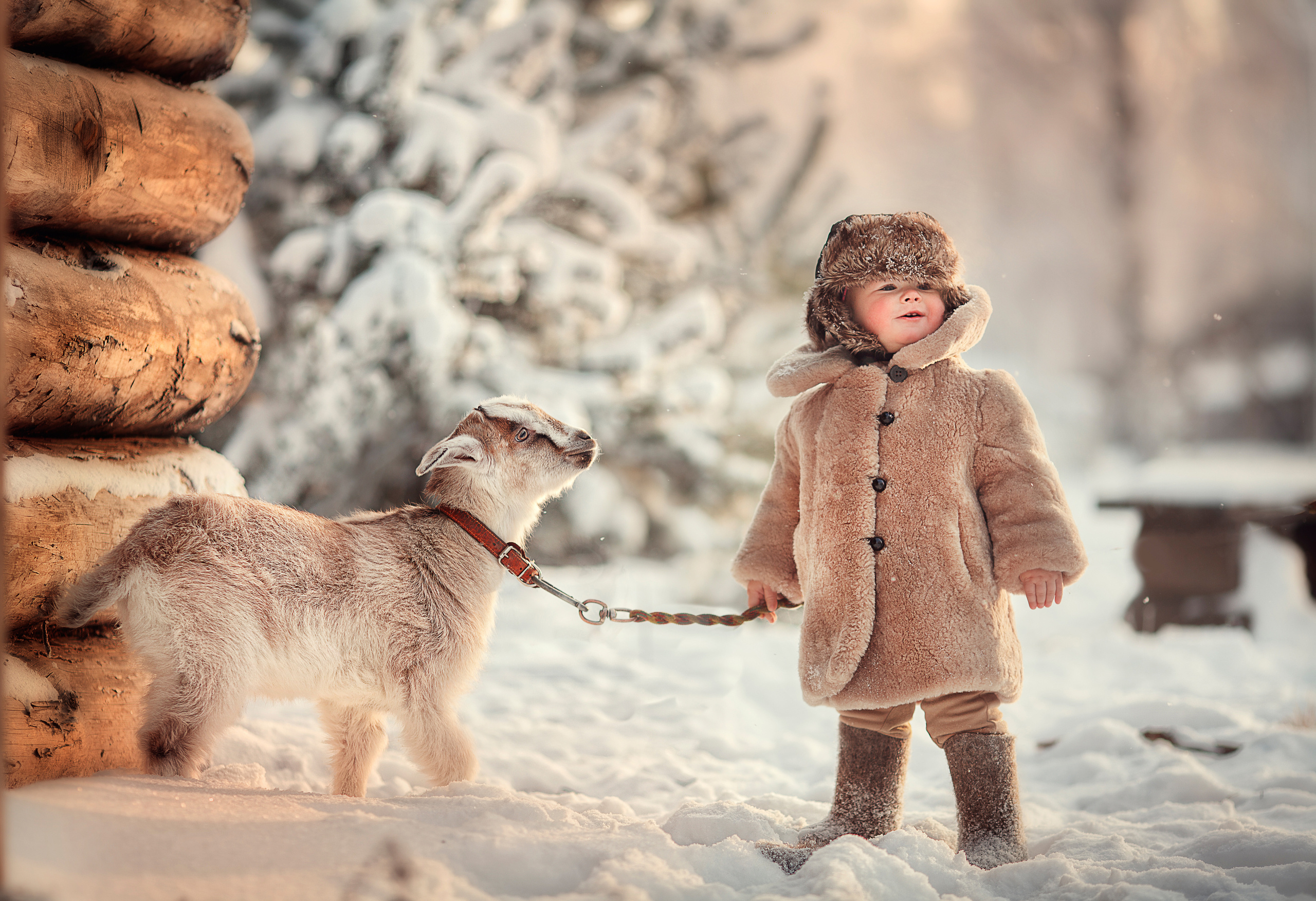 Фотосессия с животными. Детский и семейный фотограф Муксимова Ирина