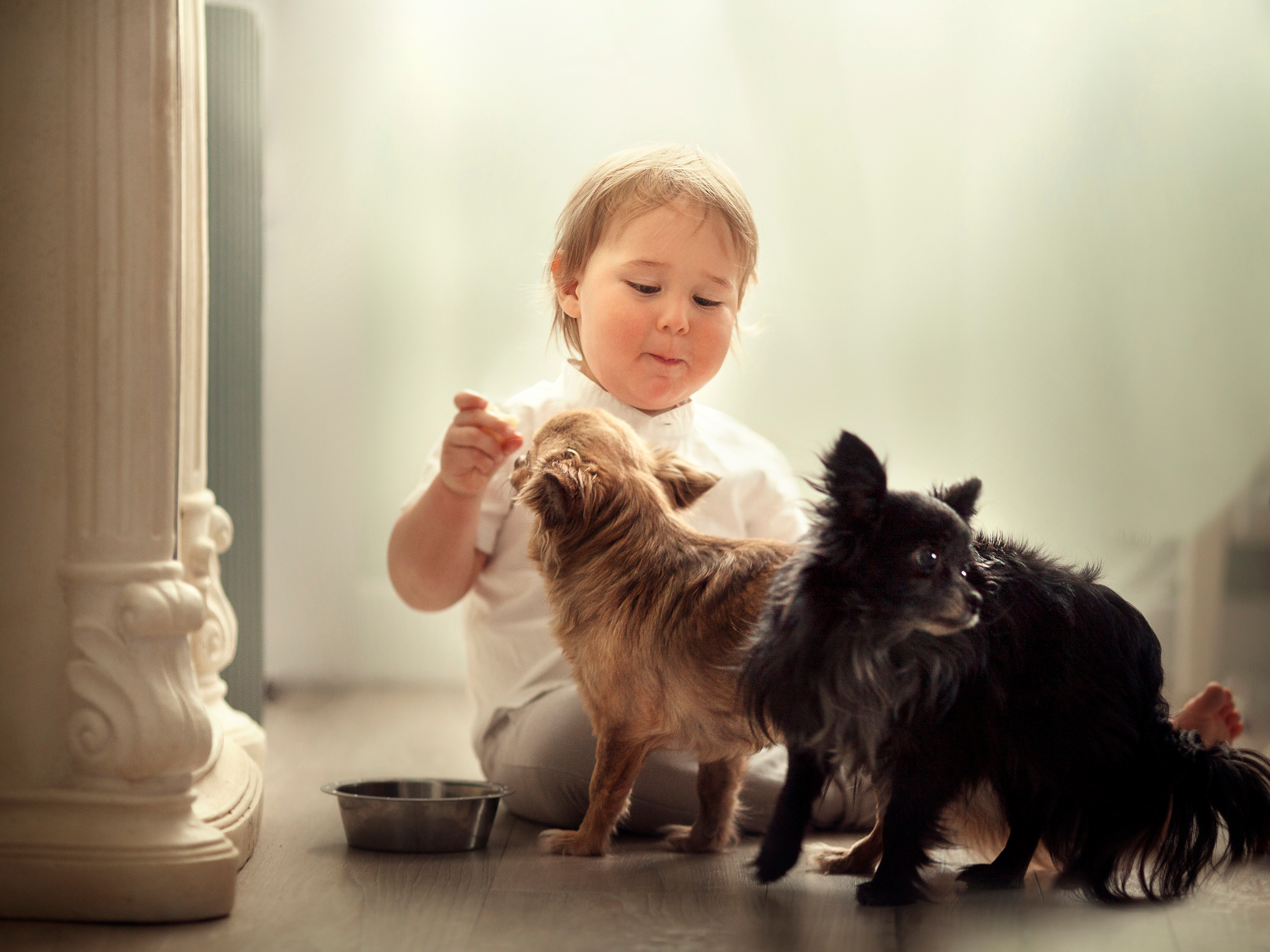 Фотосессия с животными. Детский и семейный фотограф Муксимова Ирина