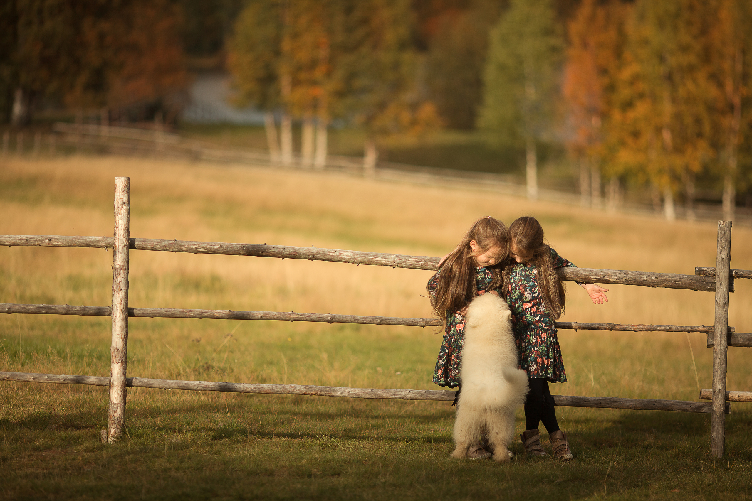 Фотосессия с животными. Детский и семейный фотограф Муксимова Ирина