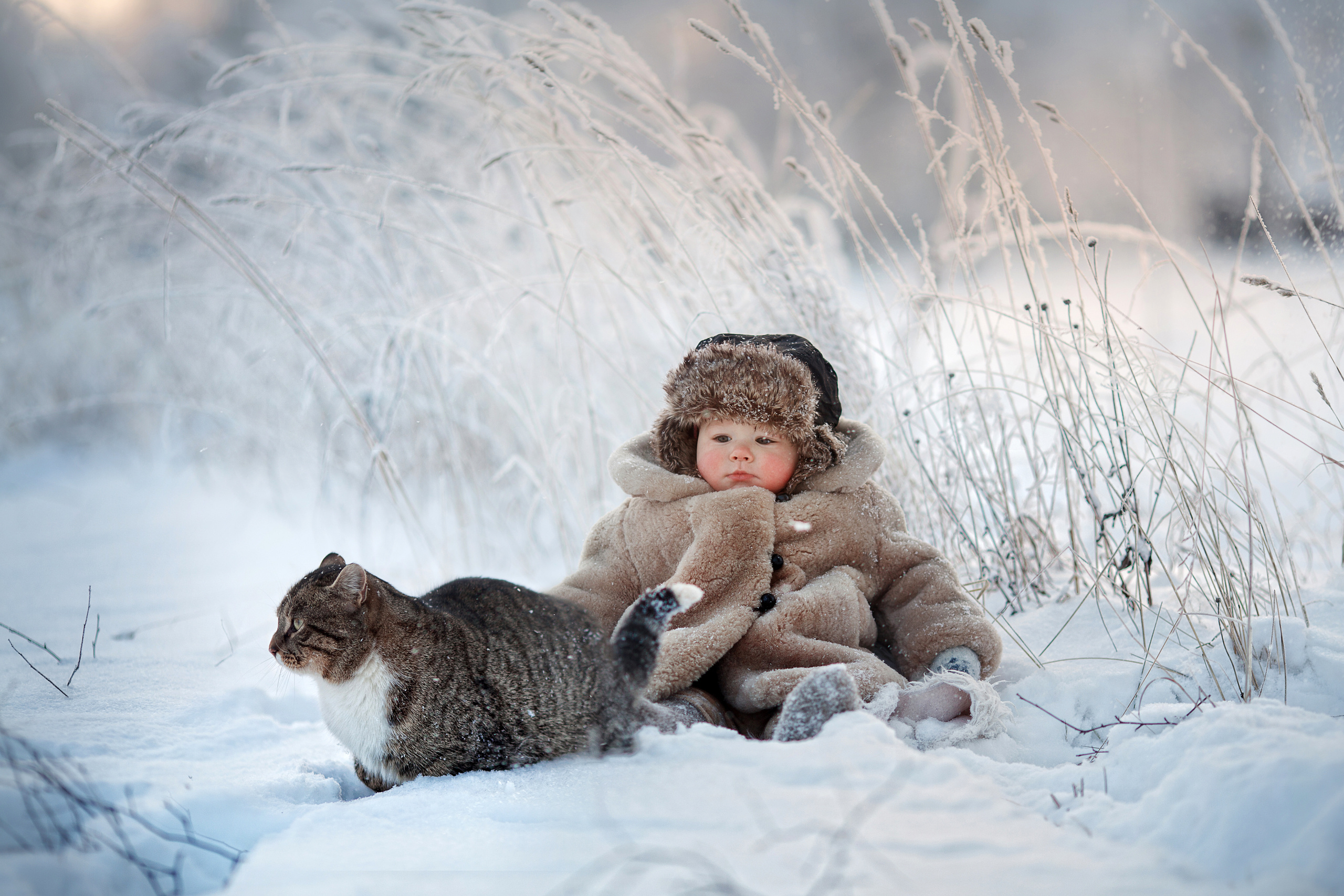 Фотосессия с животными. Детский и семейный фотограф Муксимова Ирина