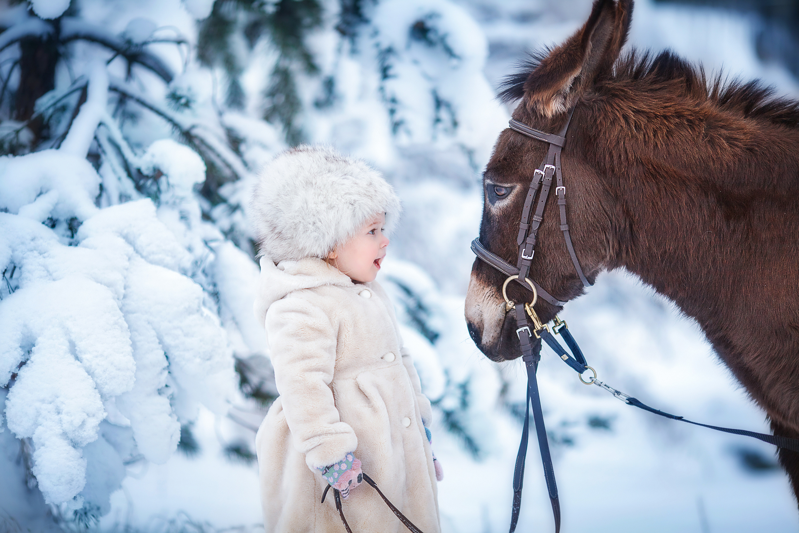 Фотосессия с животными. Детский и семейный фотограф Муксимова Ирина