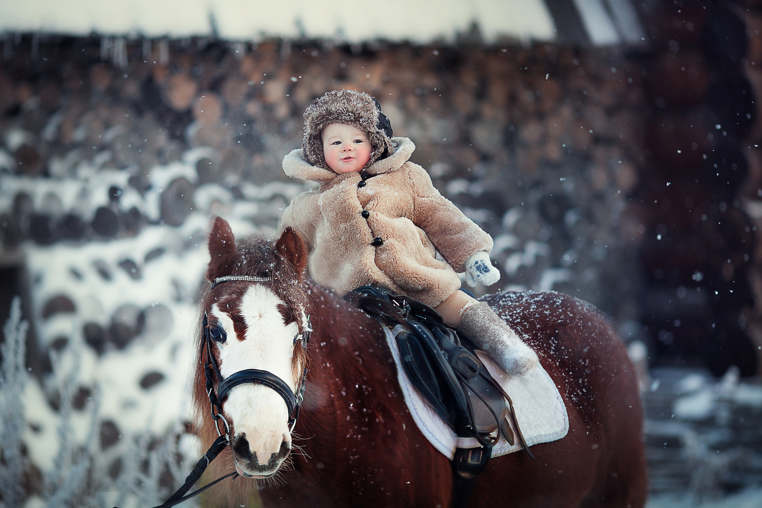 Фотосессия с животными. Детский и семейный фотограф Муксимова Ирина