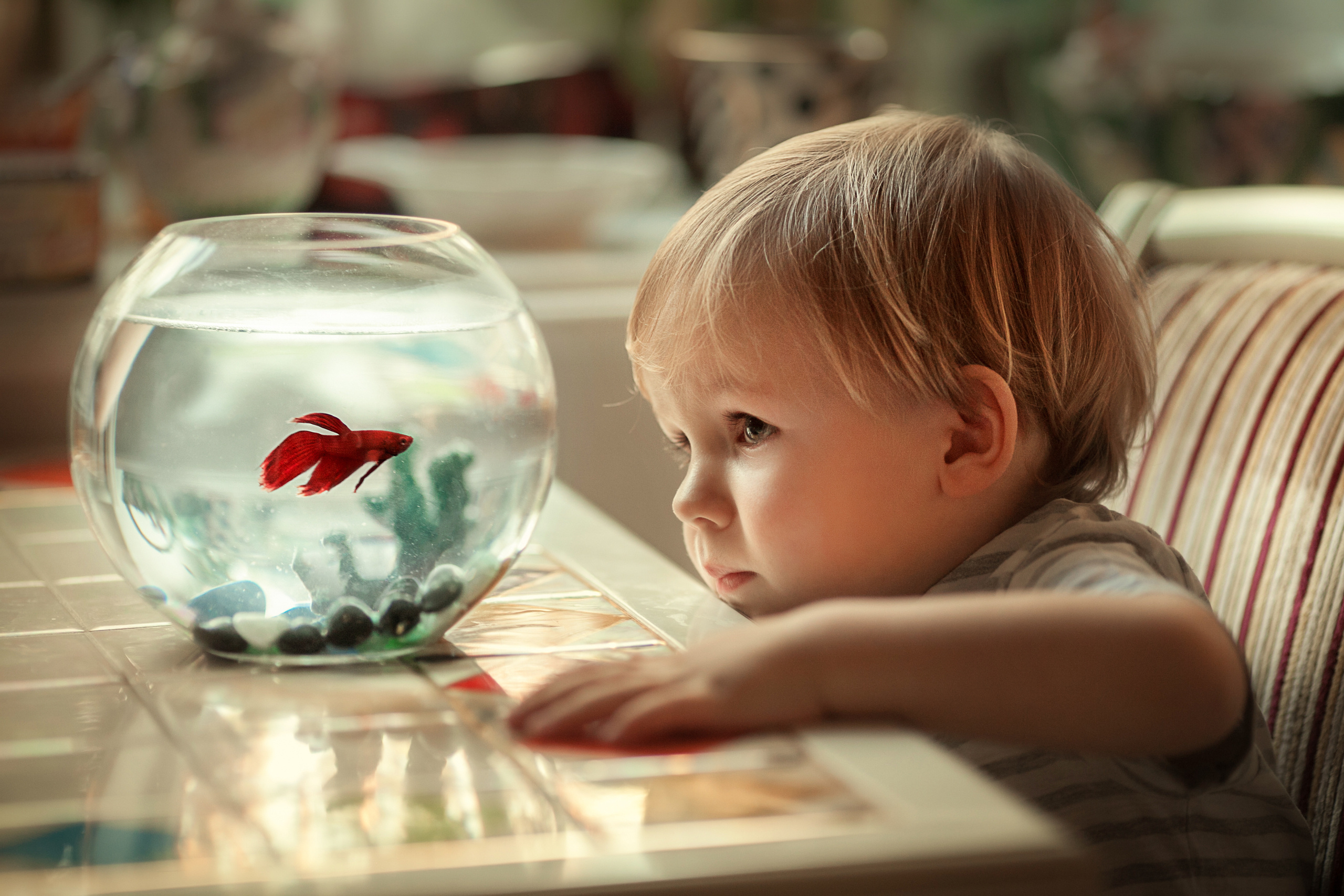 Фотосессия с животными. Детский и семейный фотограф Муксимова Ирина