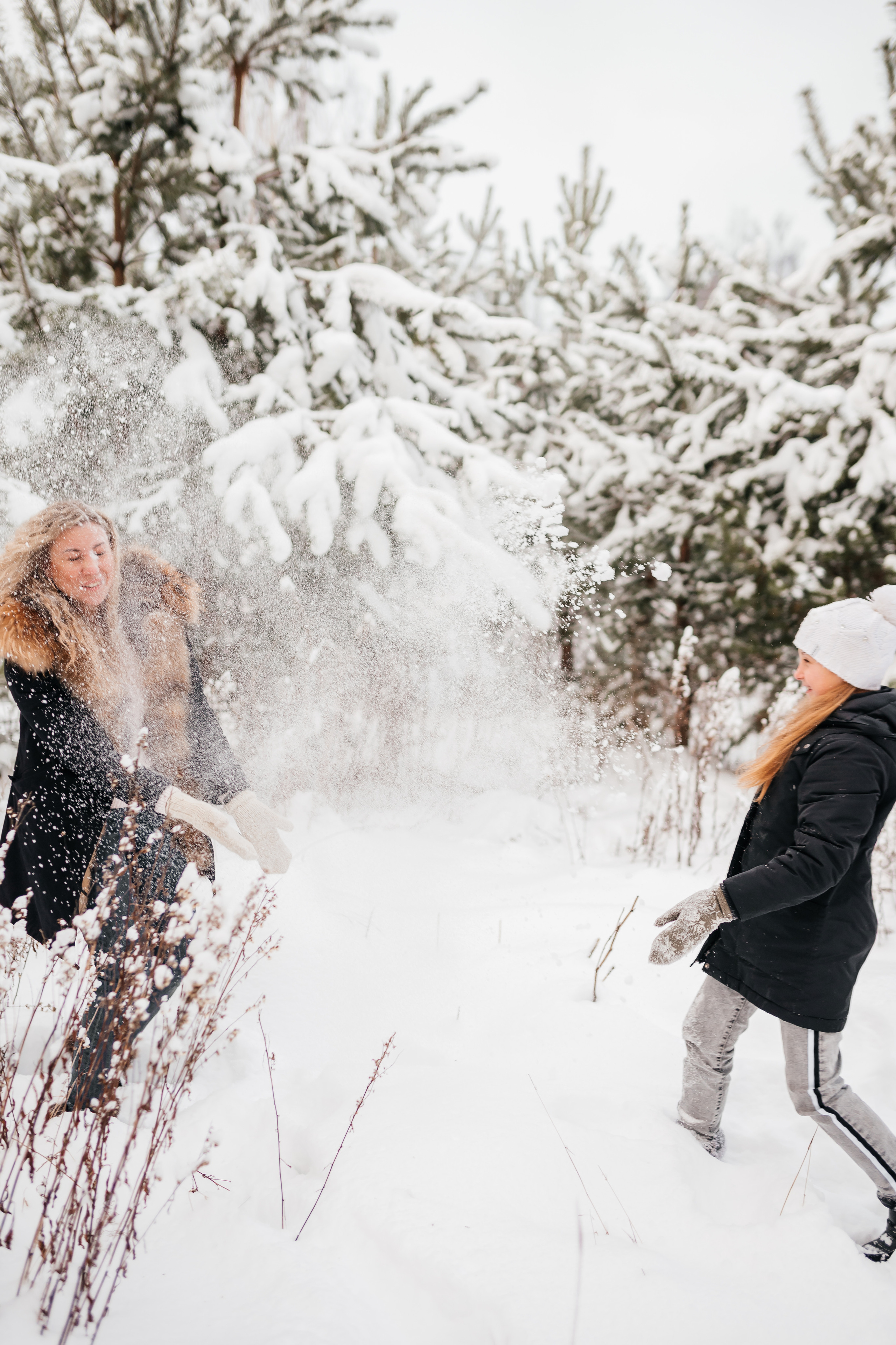 Семья Цуркан, декабрь 2022 г. Главная