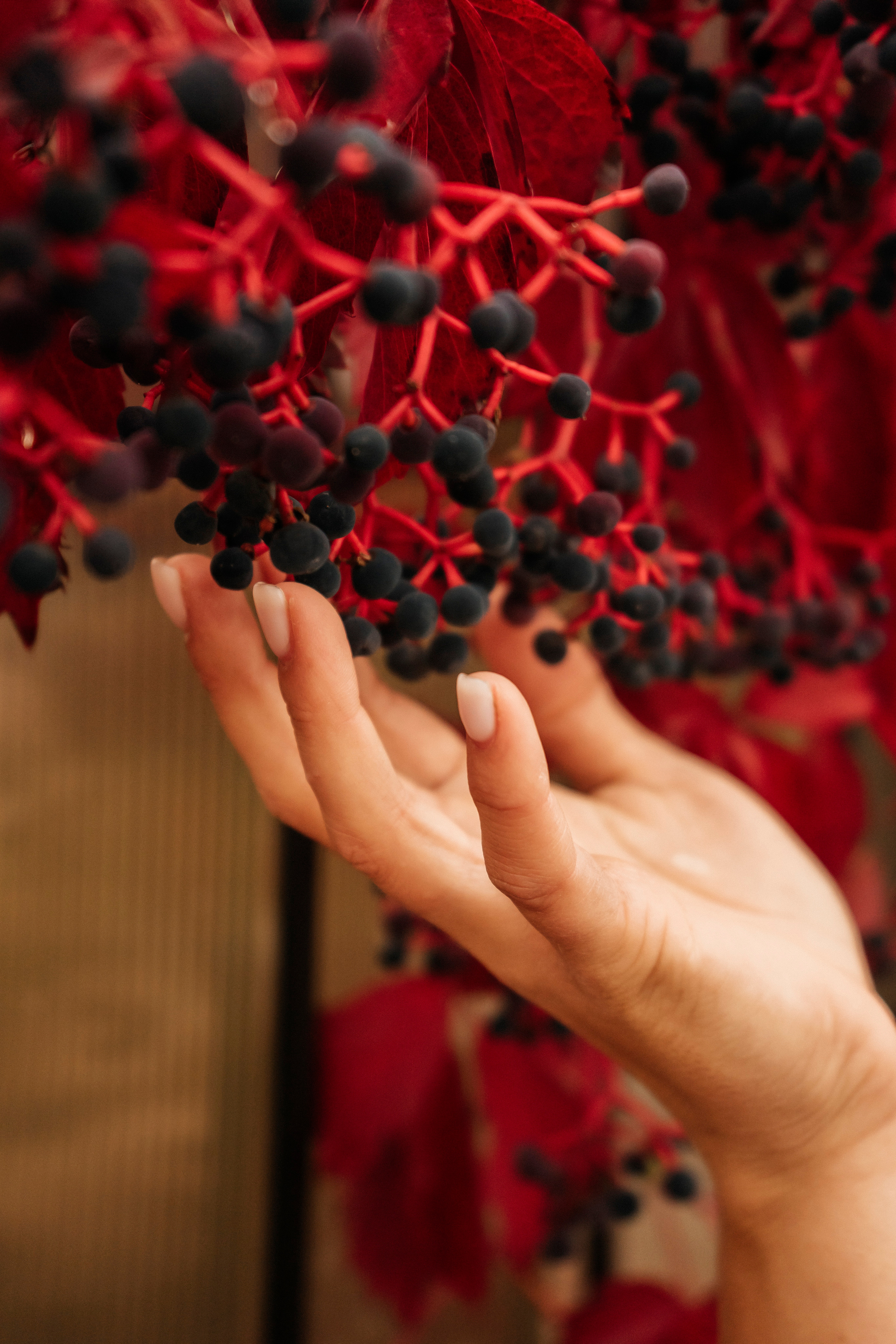 Руслана. Главная