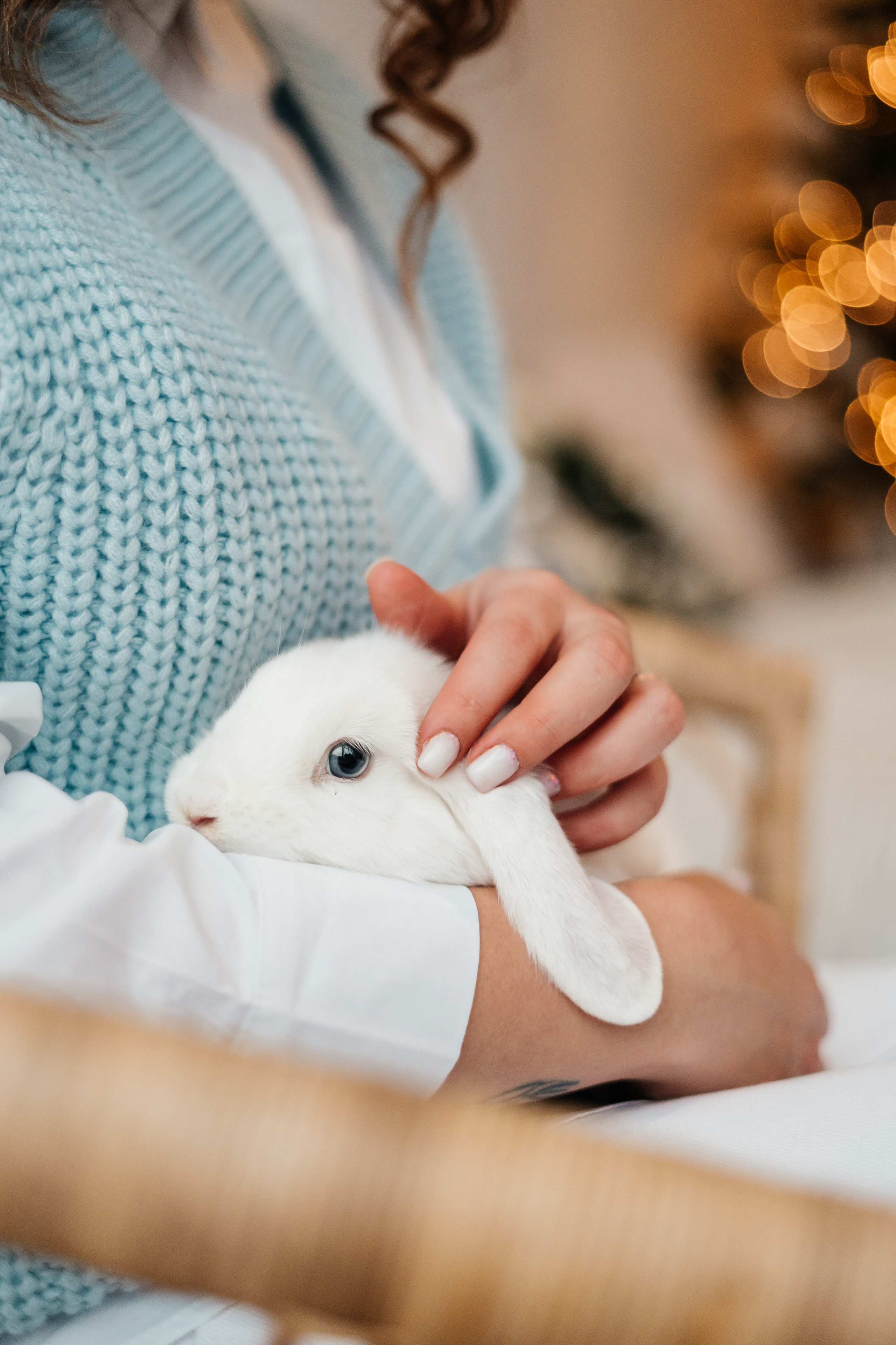 Вероника, декабрь 2022. Главная