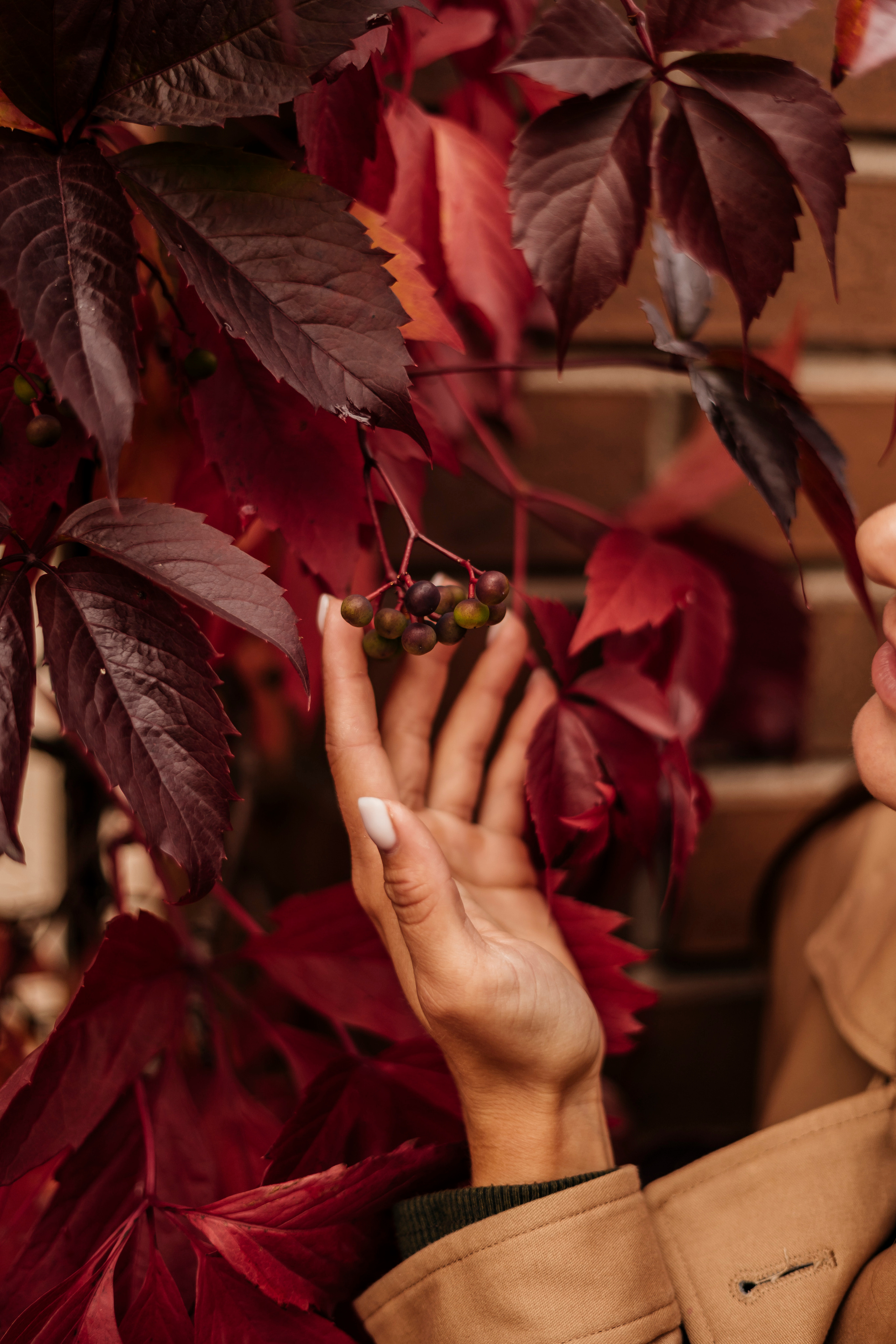 Руслана. Главная