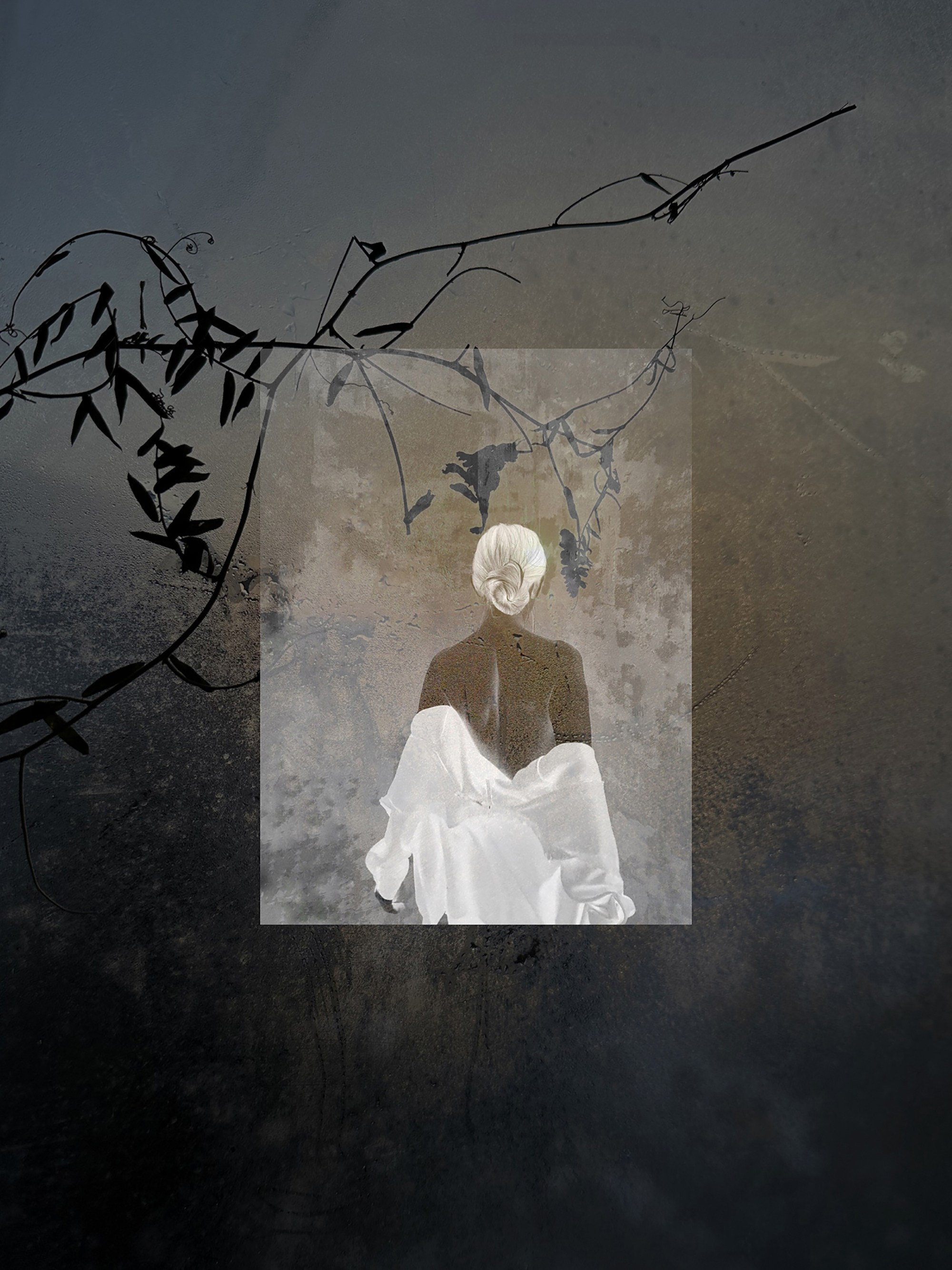 Портфолио. Визуальный художник Ольга Кутерина