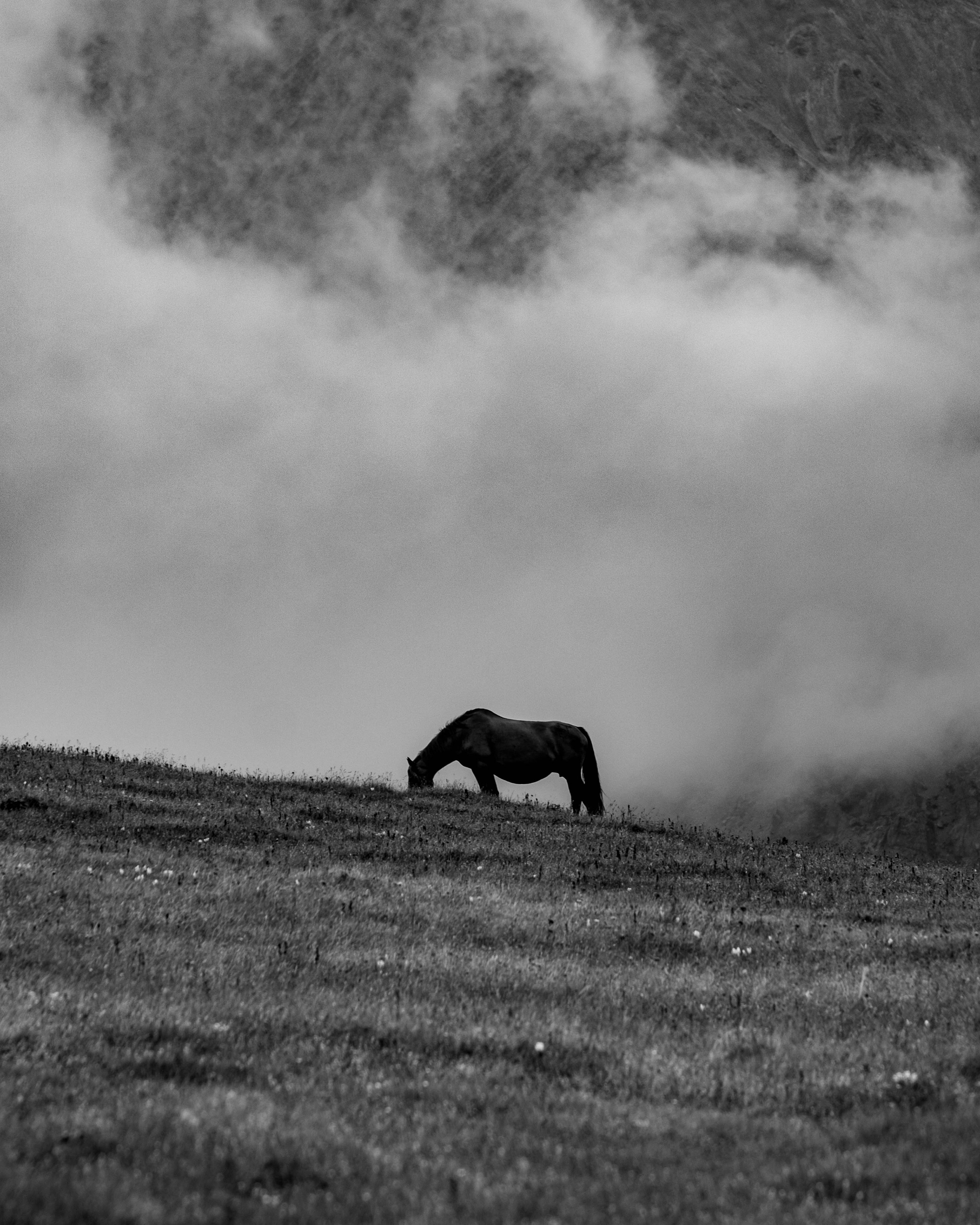 RUSSIA. Фотограф |Герасимова София