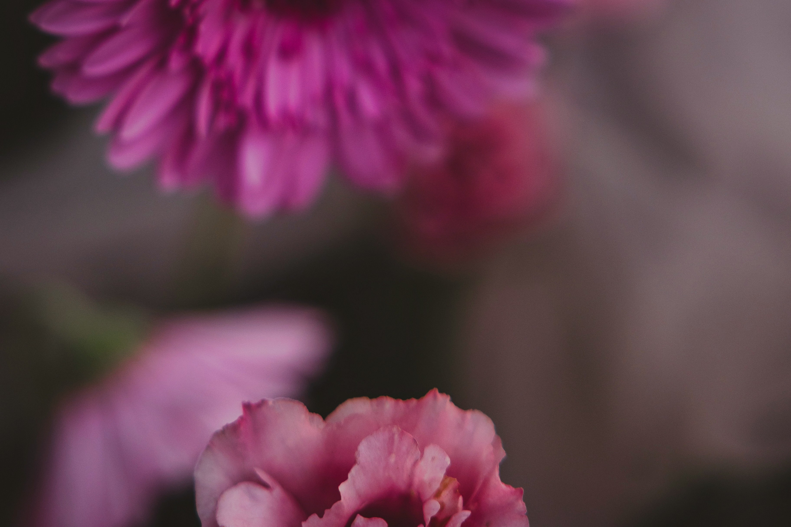 Саша & Тимофей. Свадебный, семейный и индивидуальный фотограф в Зеленограде и Москве Ирина Костенко