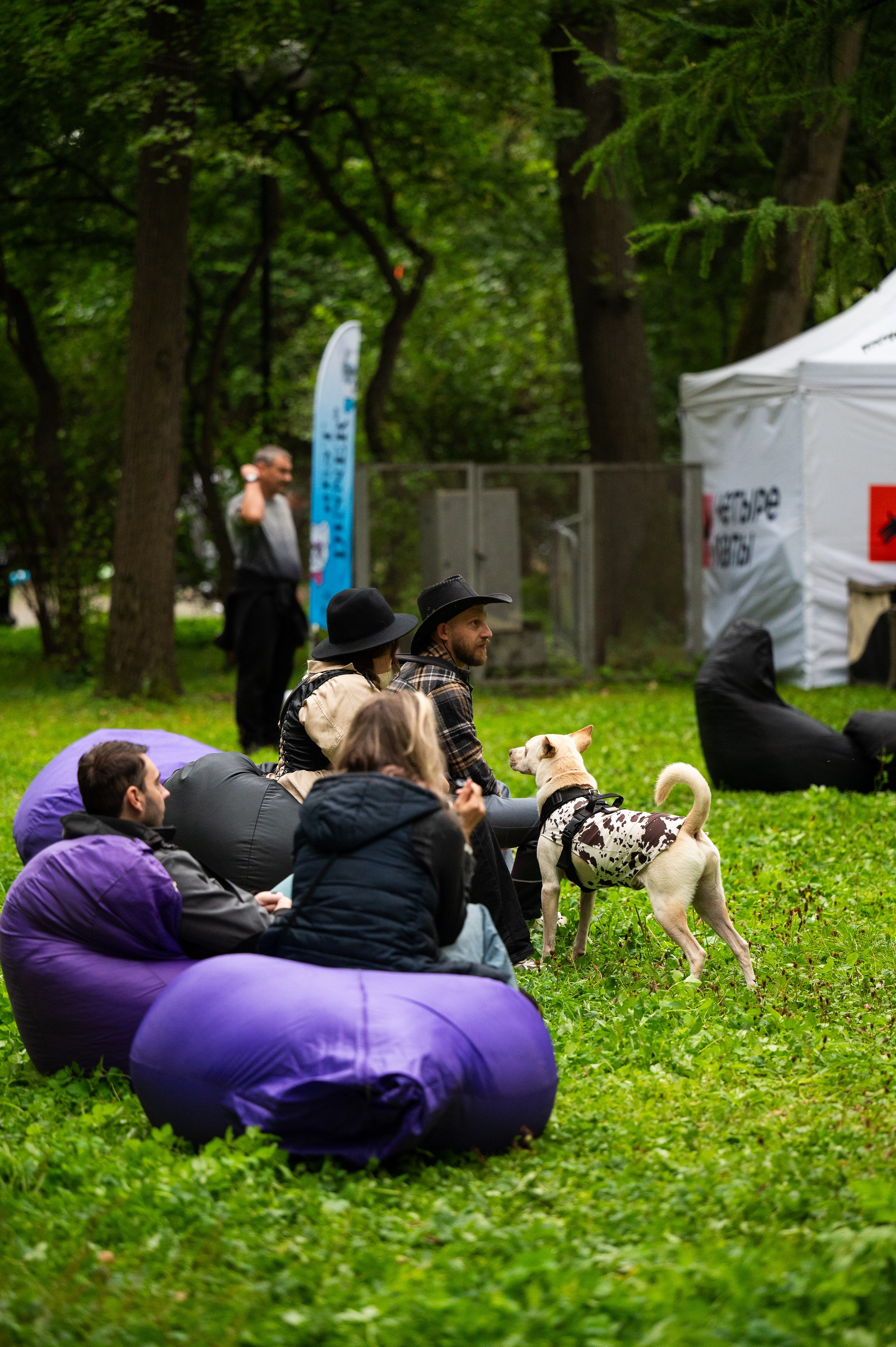 4lapy fest 2025. Photographer in Moscow Anna Chistiakova