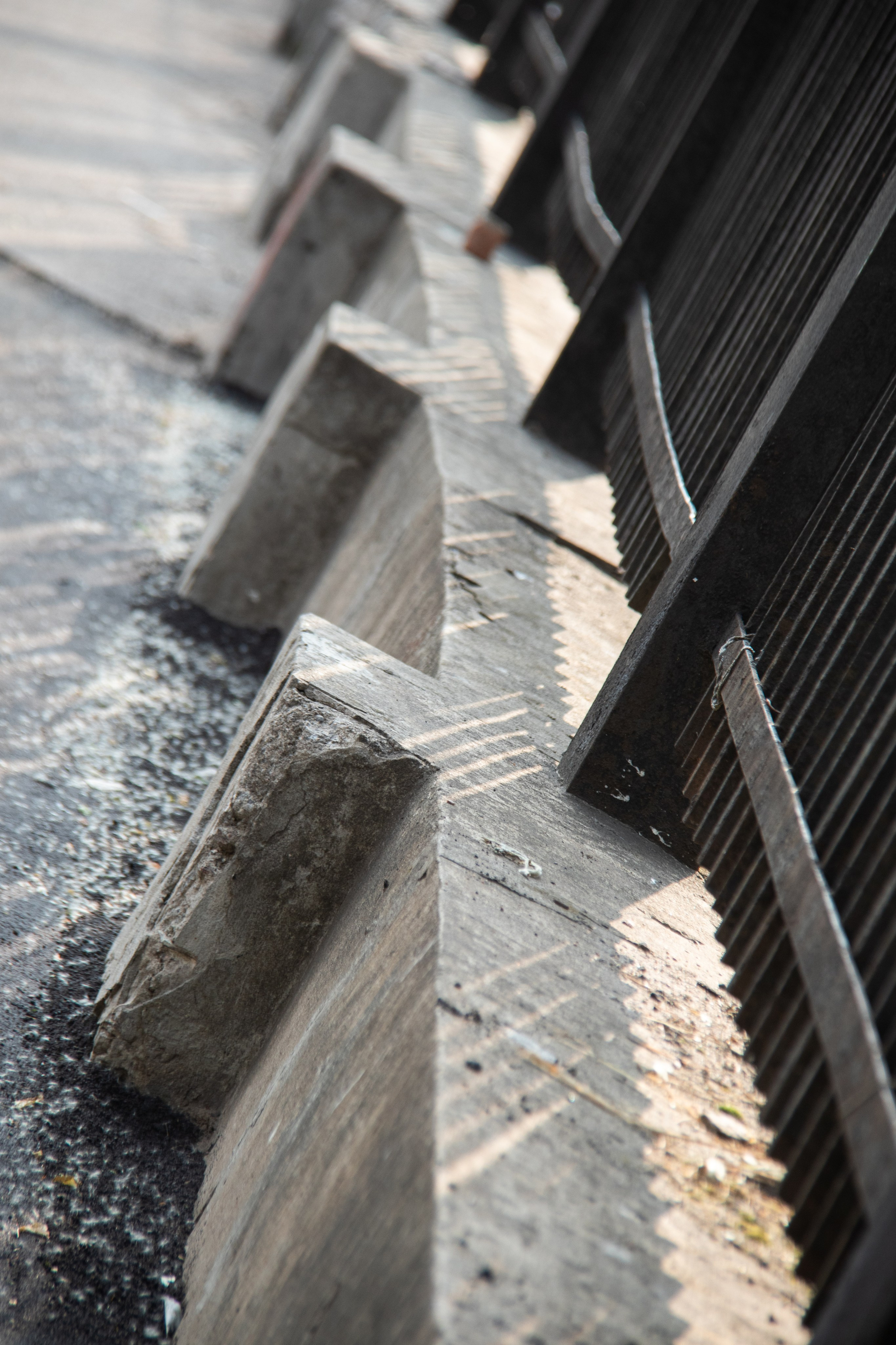 SNYT. An Alternative View of St. Petersburg’s Architecture. 2025. Janie valde |photographer & visual artist