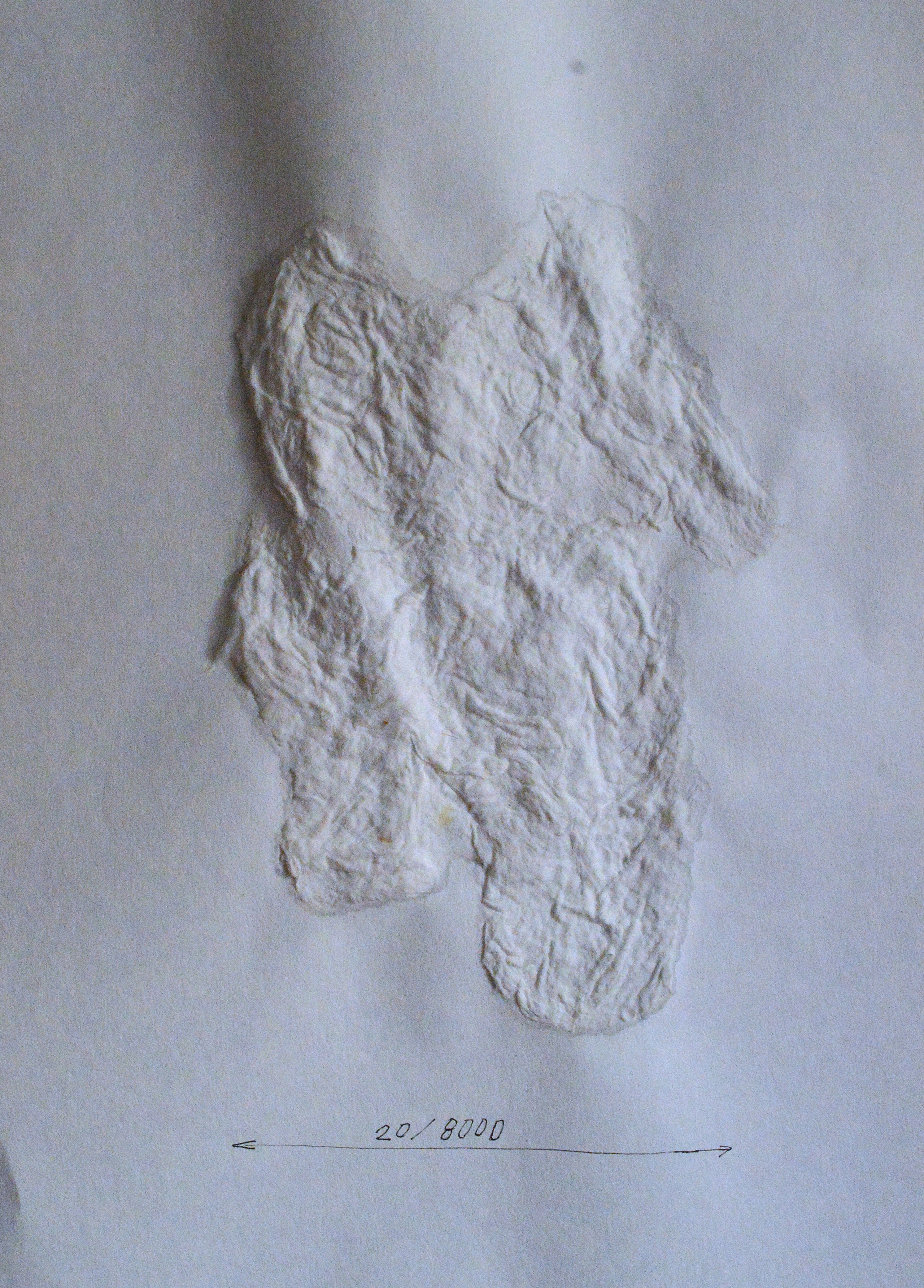 «8000 женщин» 2025. Лилия Ким. Междисциплинарный художник