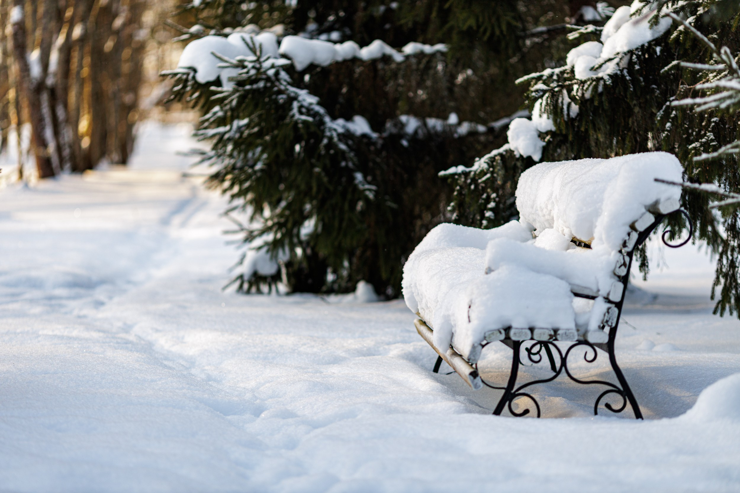 Планер в усадьбе. Фотограф Александр в Санкт-Петербурге