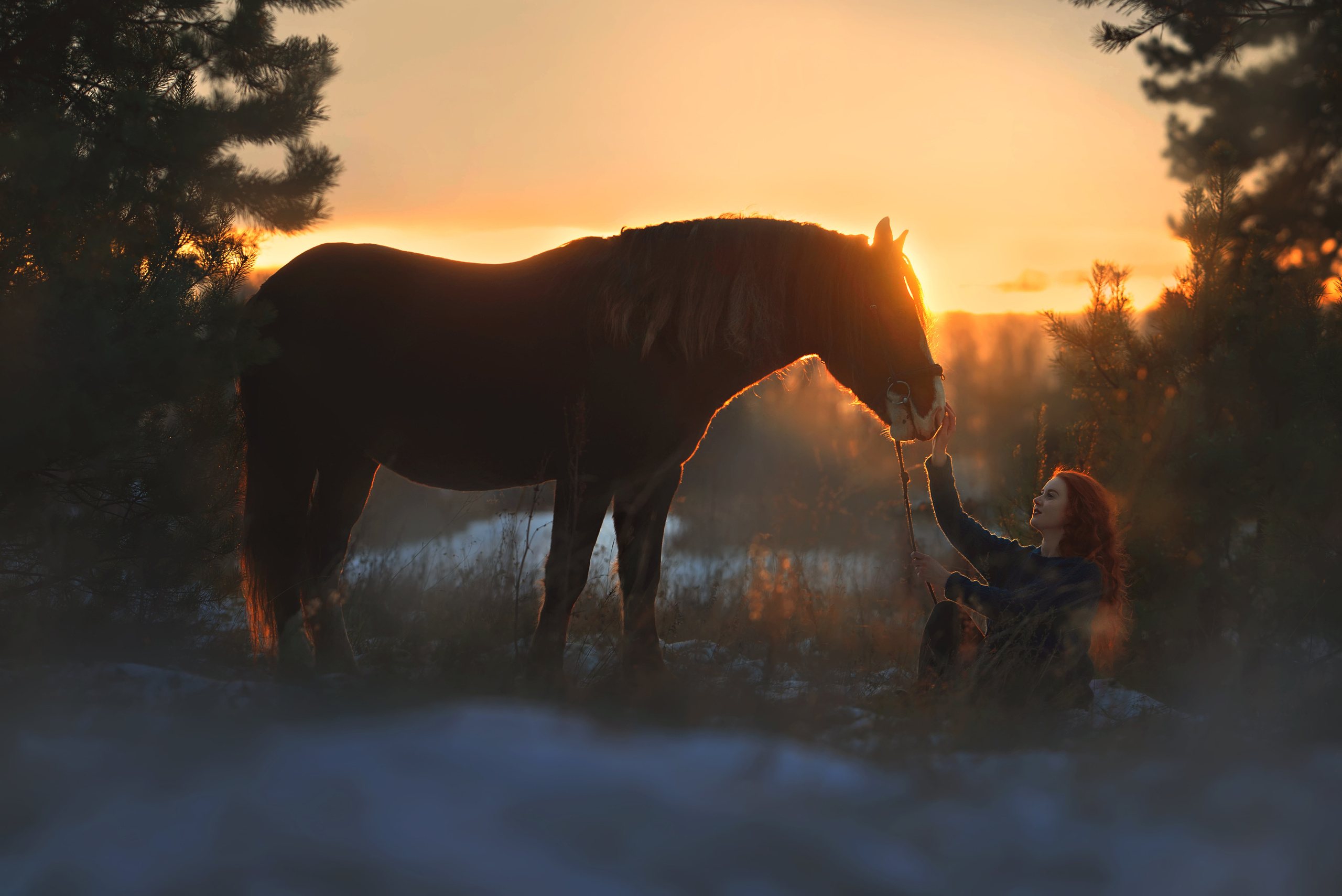 Съемки с лошадьми. Фотограф Вероника Ранцева, фотосессии с лошадьми в Минске и Могилеве