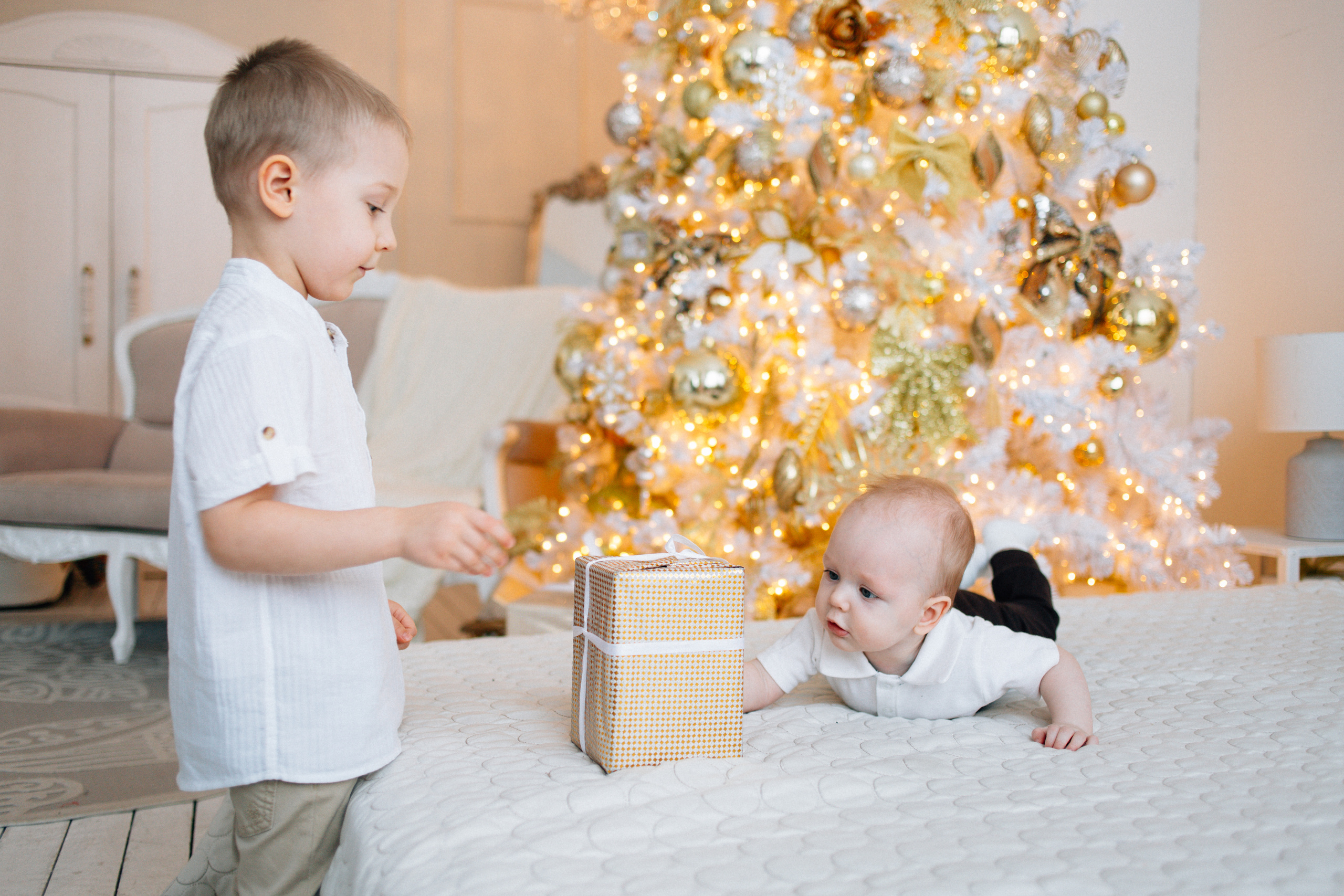 Аня, Дима, Миша, Даня. Фотограф в Новосибирске Надежда Черных