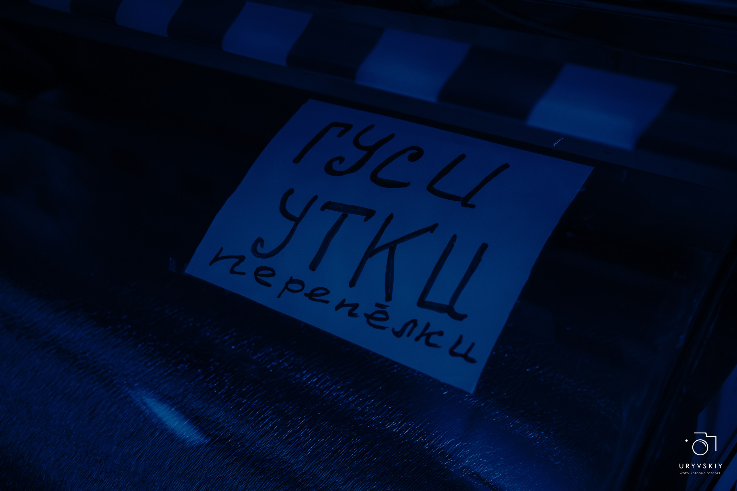 Рейв на Центральном рынке. Игорь Урывский. Фотограф Красноярск