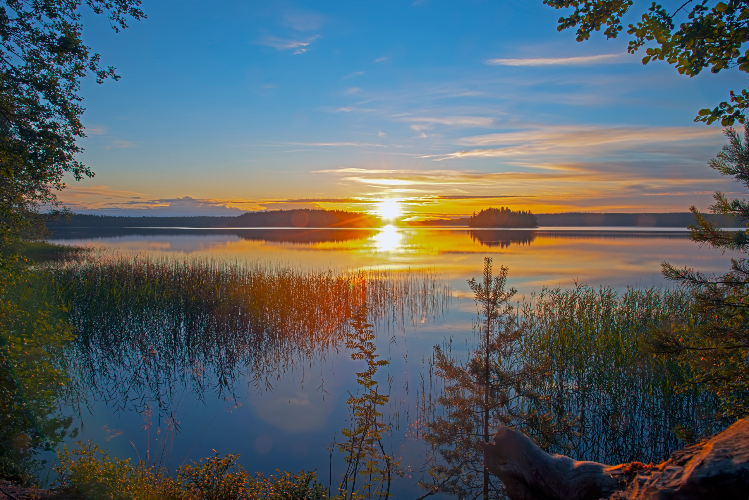 ПРИРОДА. От прошлого к будущему авиации через фотографию