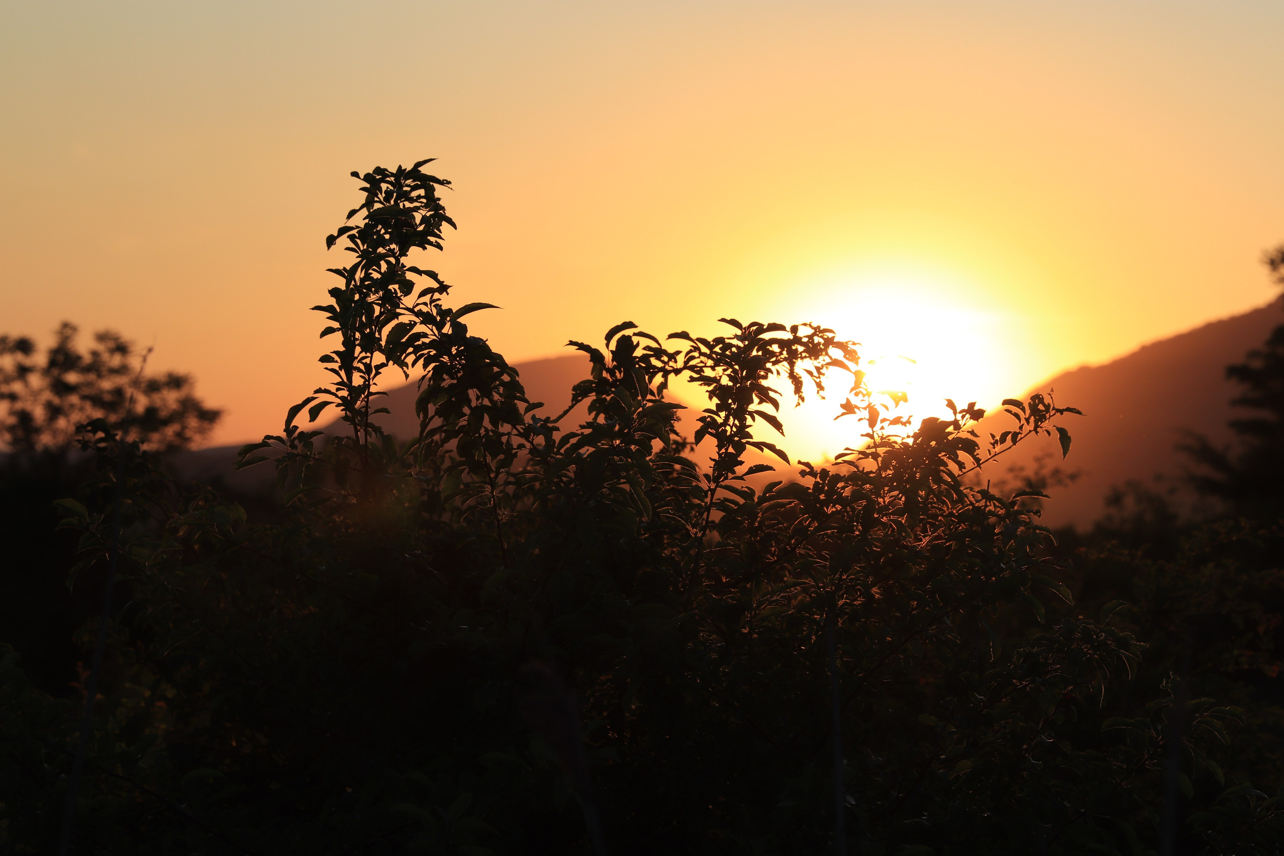 Фотограф Мария Алексеева. Мария Алексеева. Фотограф в Москве