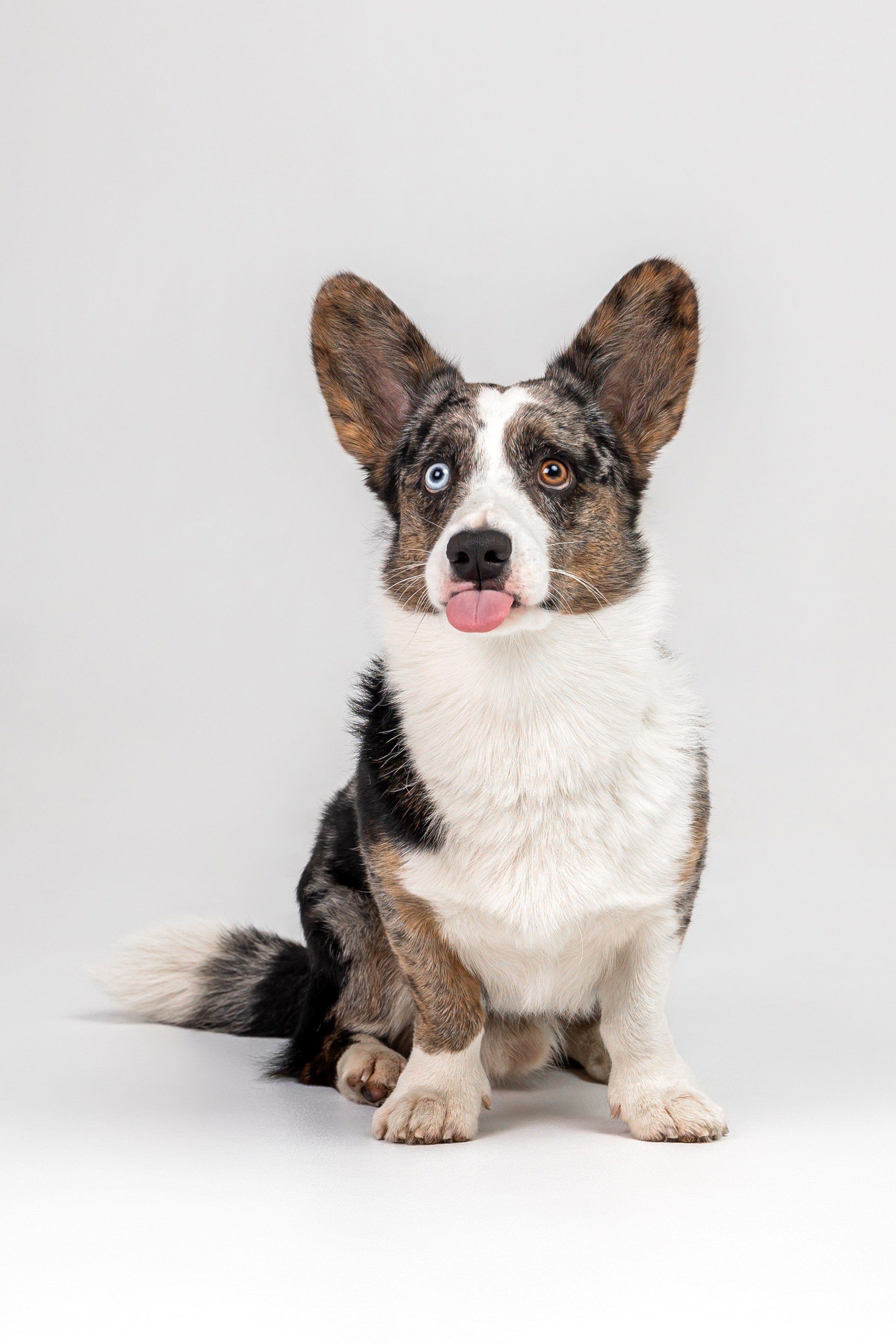 Анатолий и Рагнар