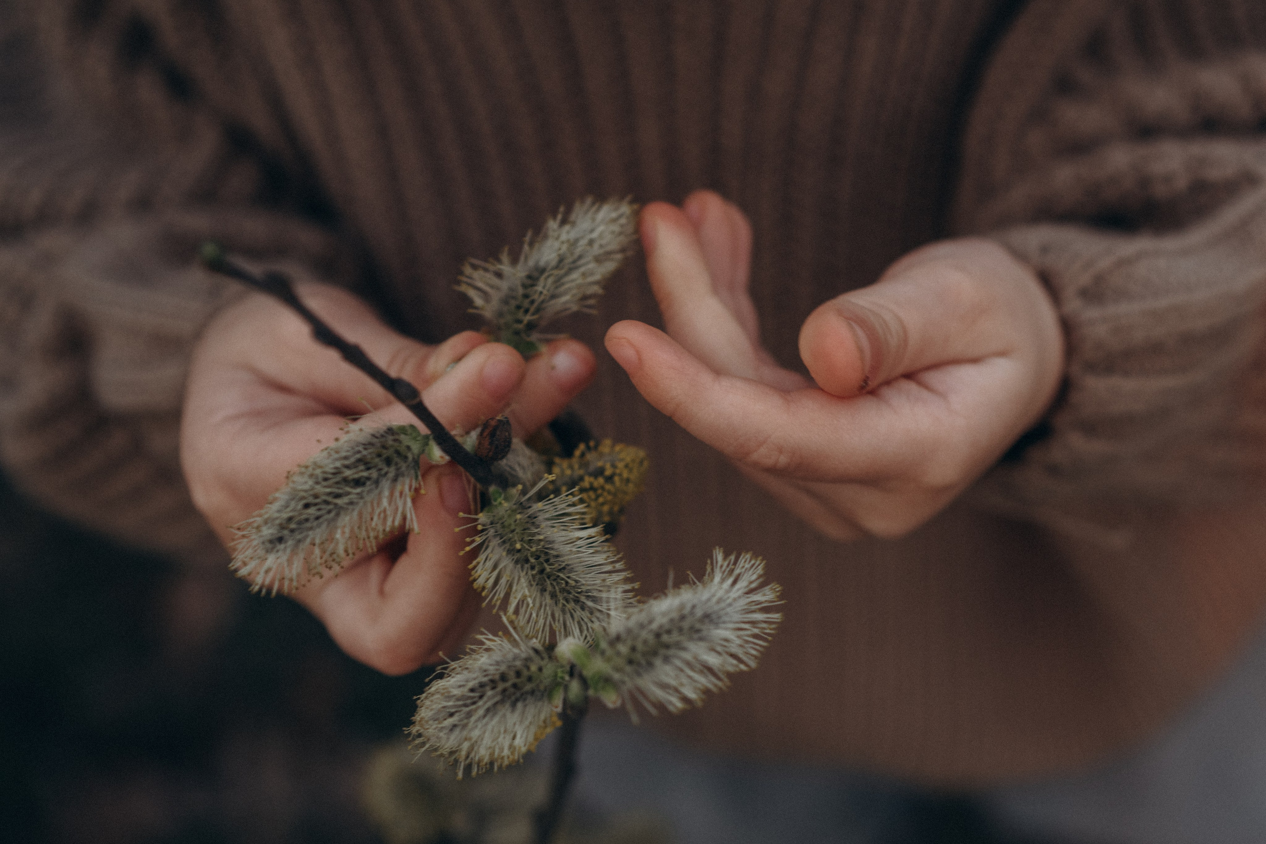 Стеша и её родители. Семейный и детский фотограф Москва Дарья Бугра