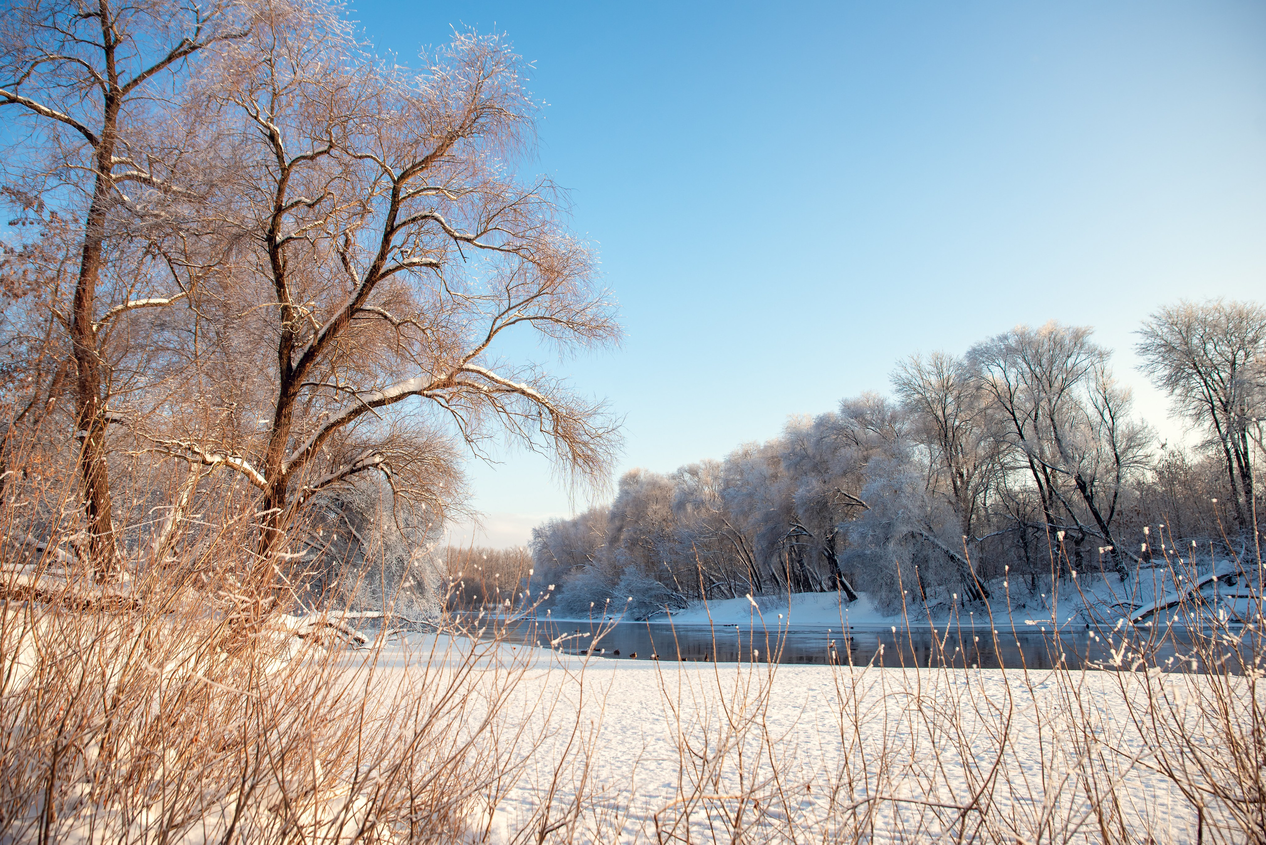 Зимушка зима. Фотограф Крещение Венчание Москва