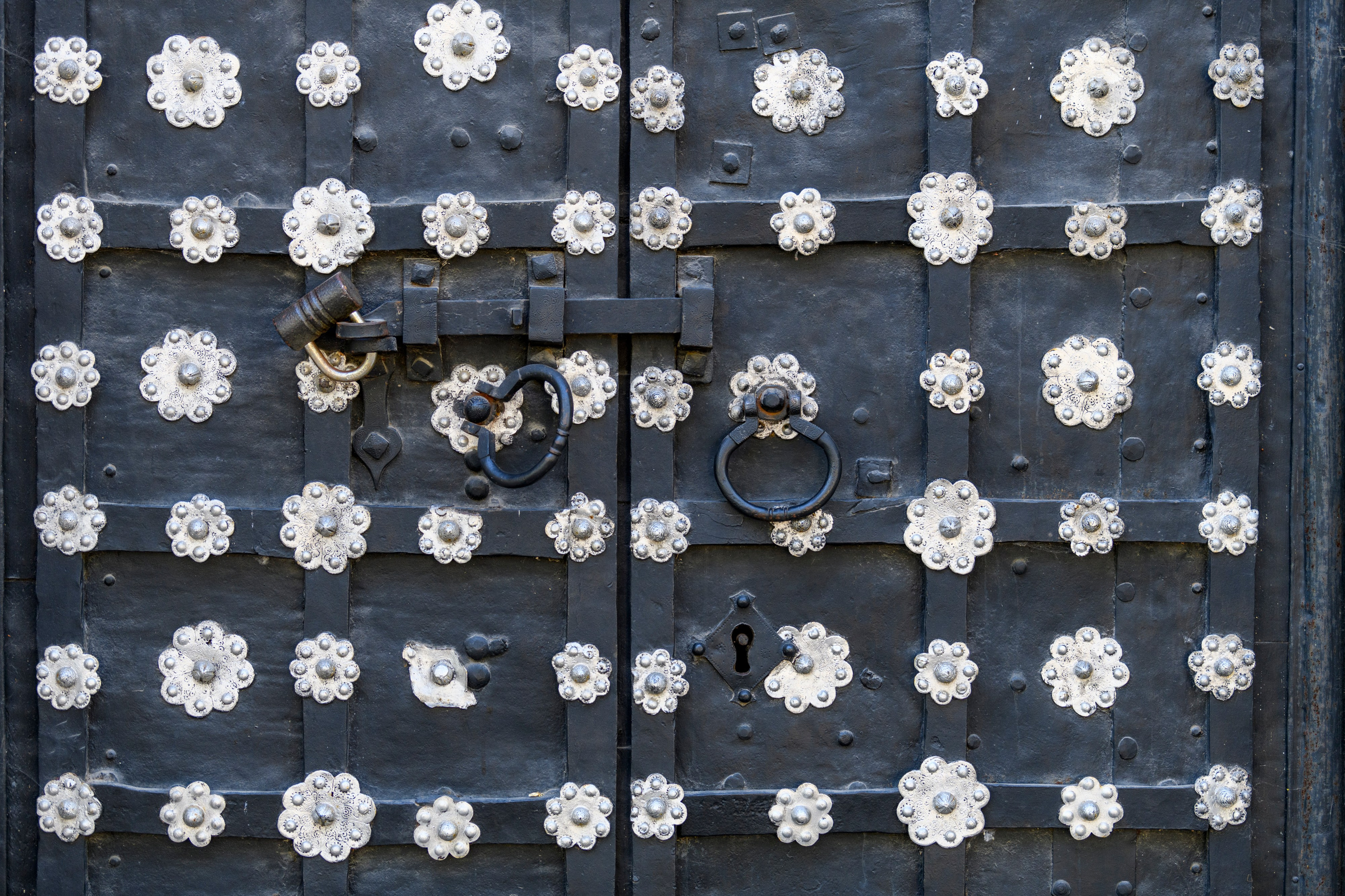 Переславль-Залесский. Wildlife photography by Sergey Puponin