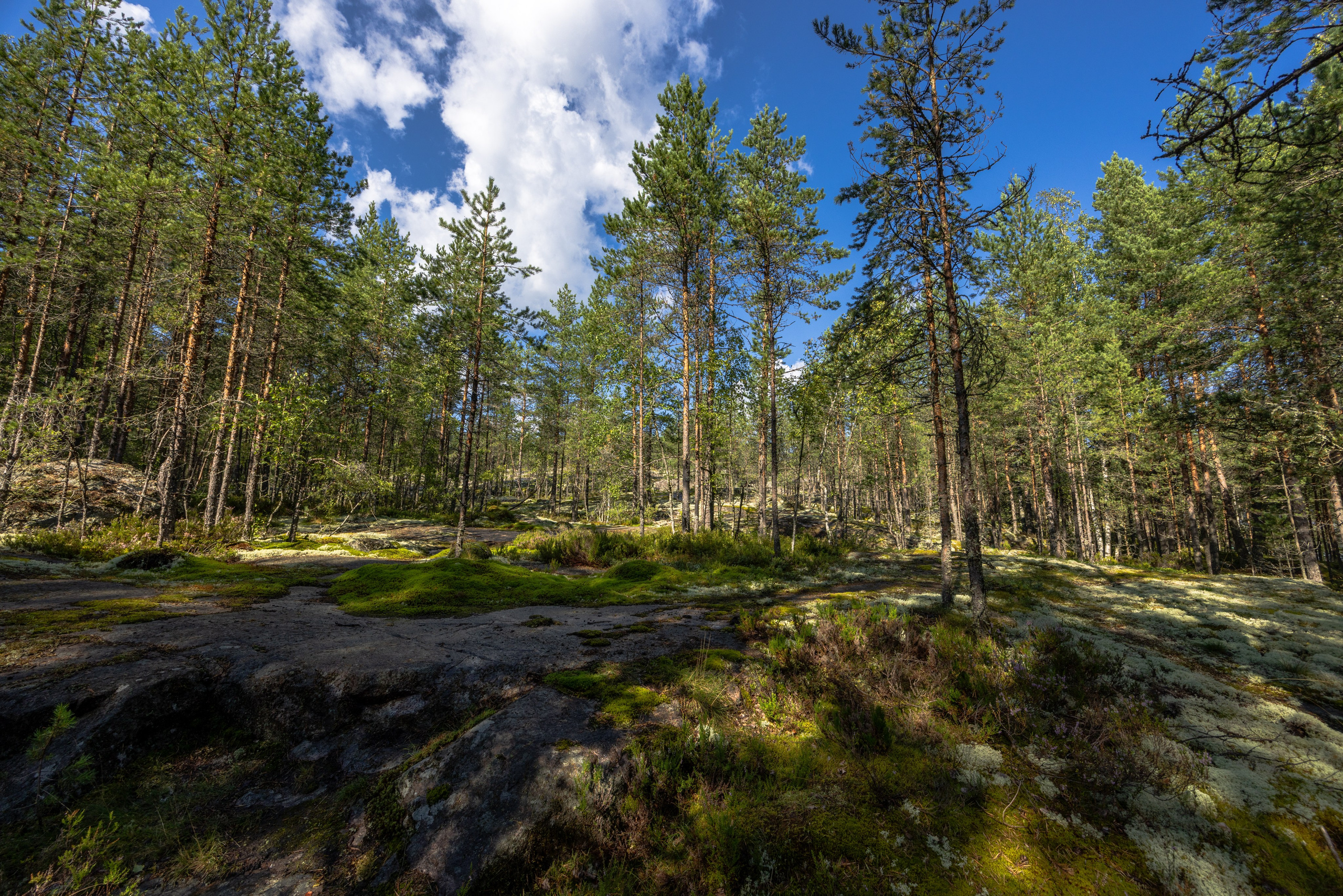 Ладога. Автомобильная фотография в Санкт-Петербурге