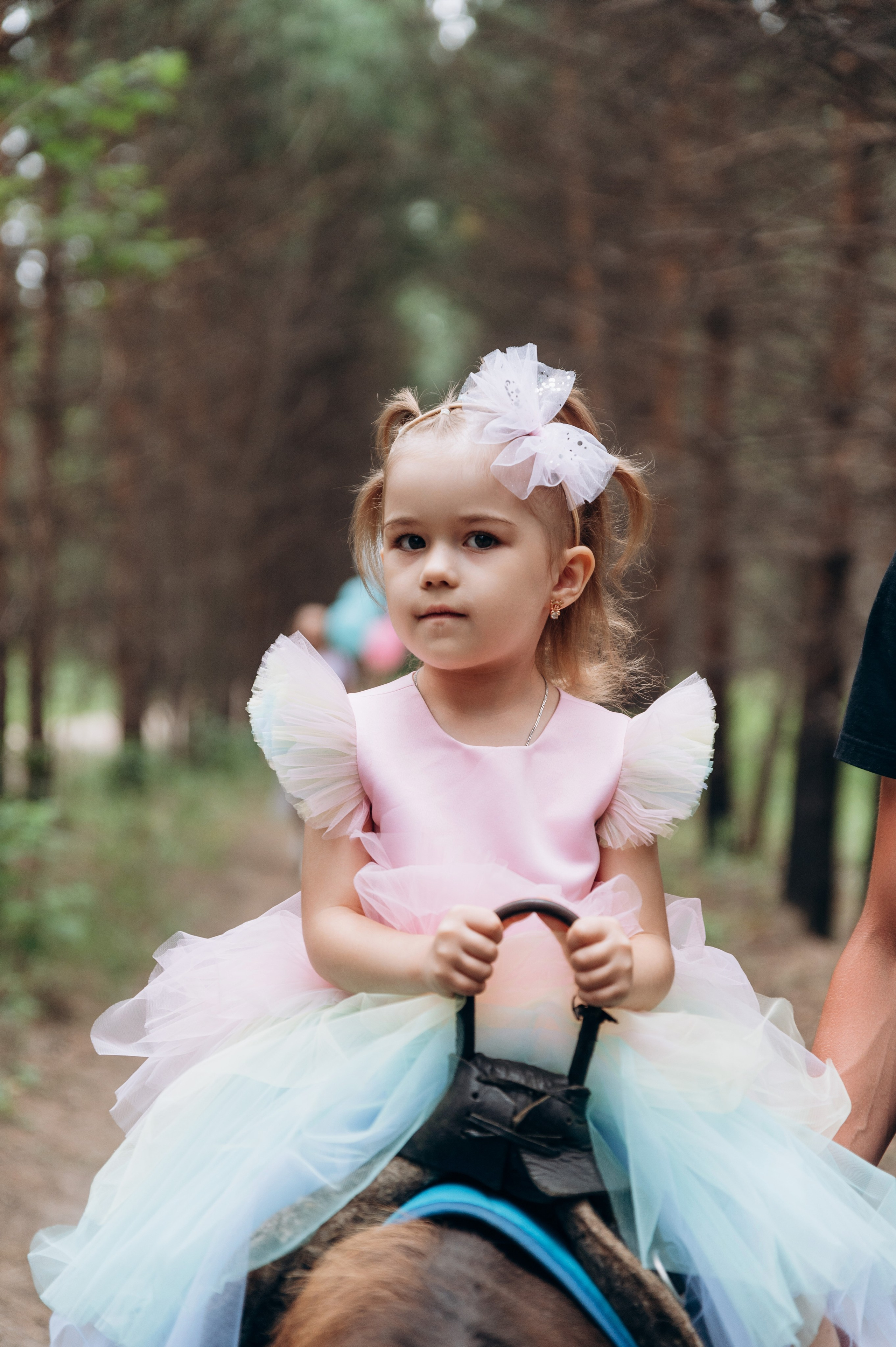 Конная прогулка. Фотограф в Новосибирске