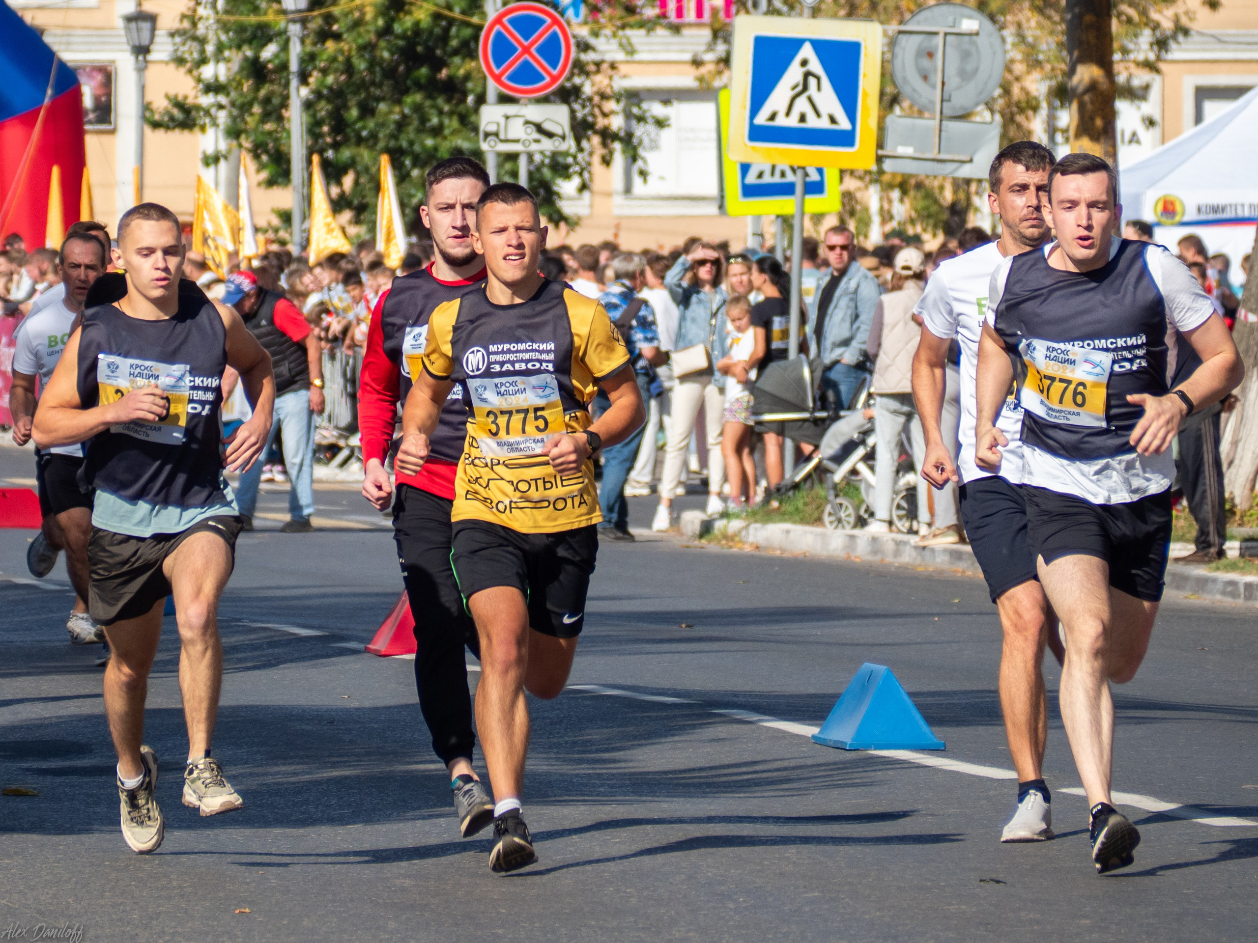Кросс нации 2024. Муром-Инфо. Новости культуры, образования, спорта в городе Муром