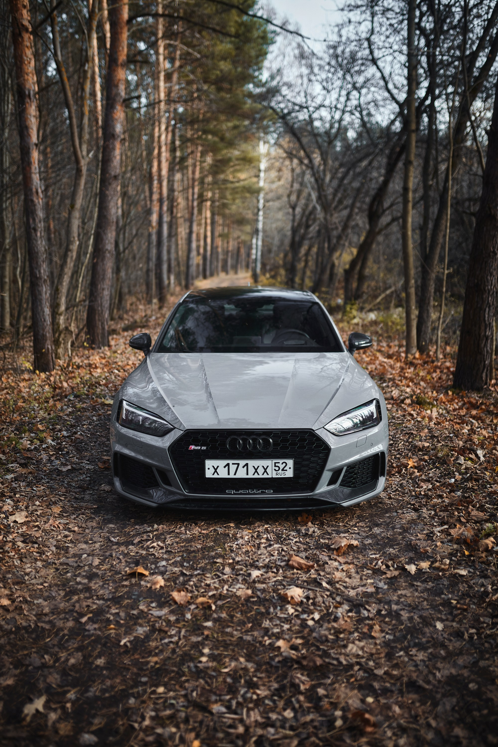 Audi RS5. DKARPOCHEVA PHOTOGRAPHY