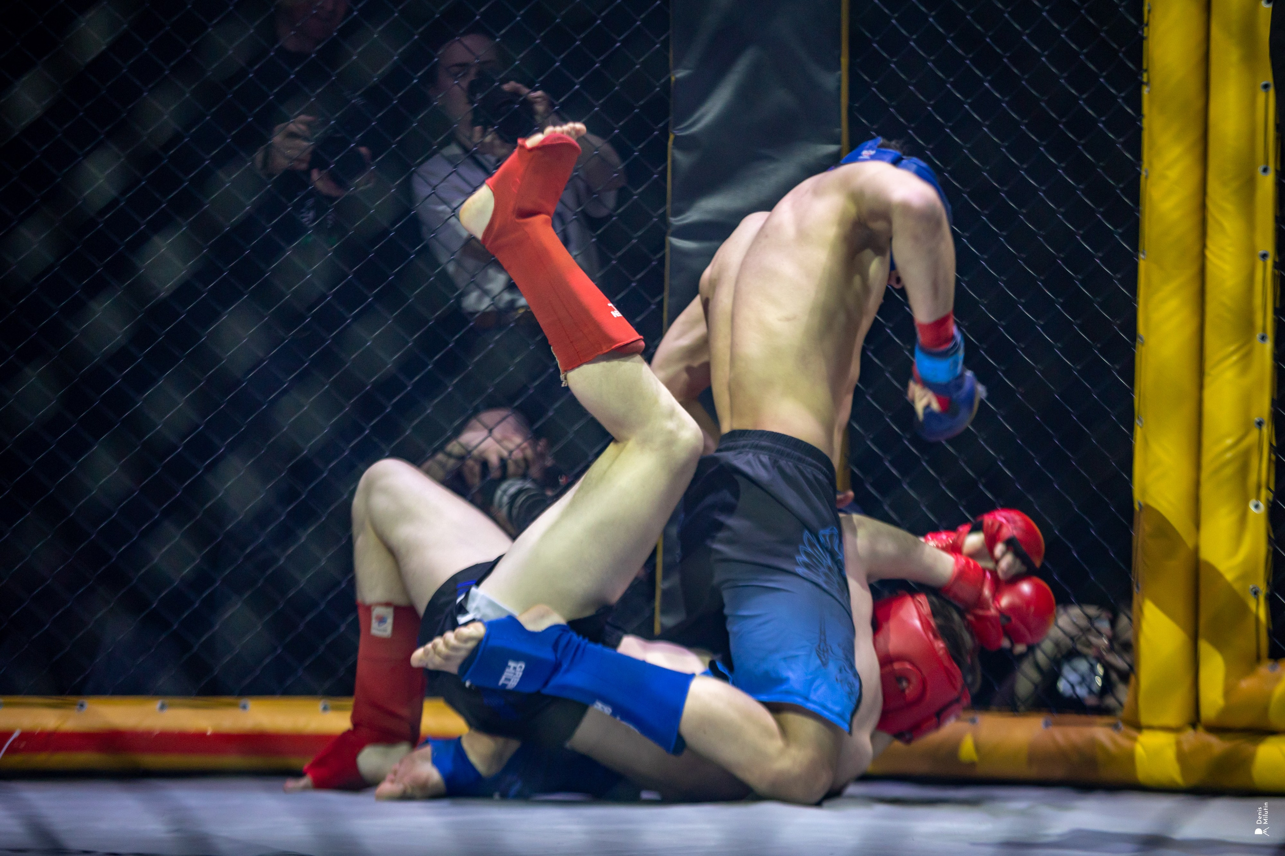 Бои в клетке «Северный Воин». Портретный фотограф Денис Милютин