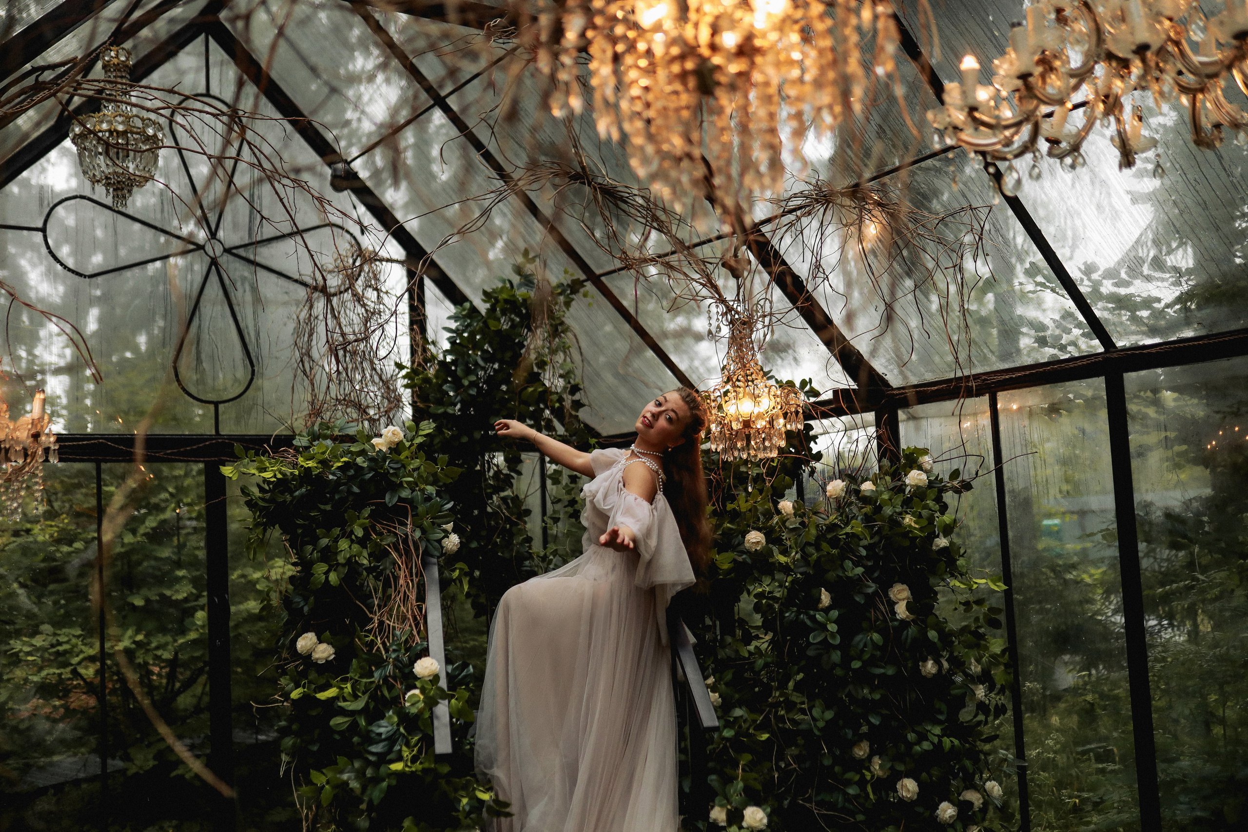 Зачарованный лес