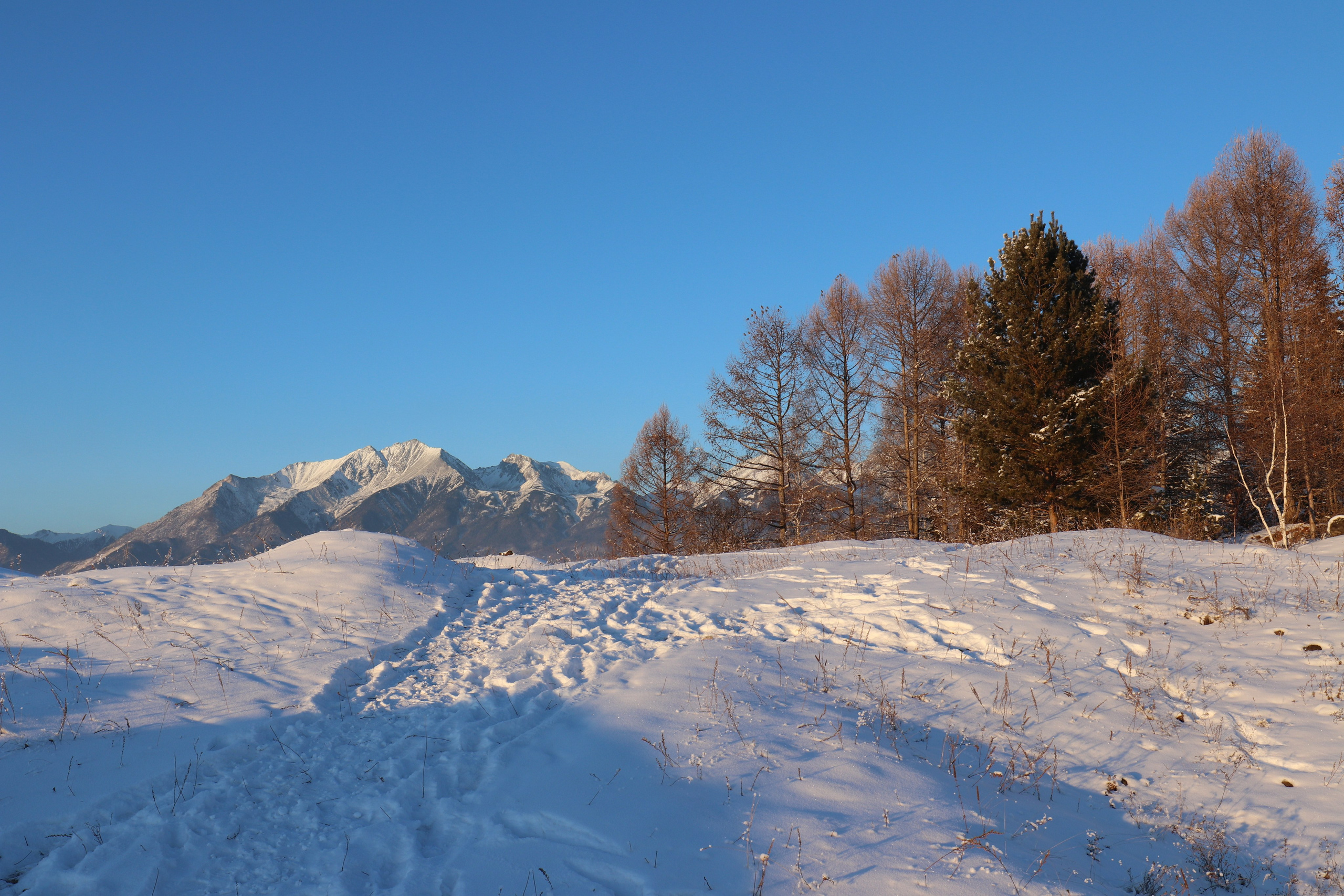 Аршан. Январь 2022. Путешественник-фотограф из Санкт-Петербурга Татьяна Свистулина