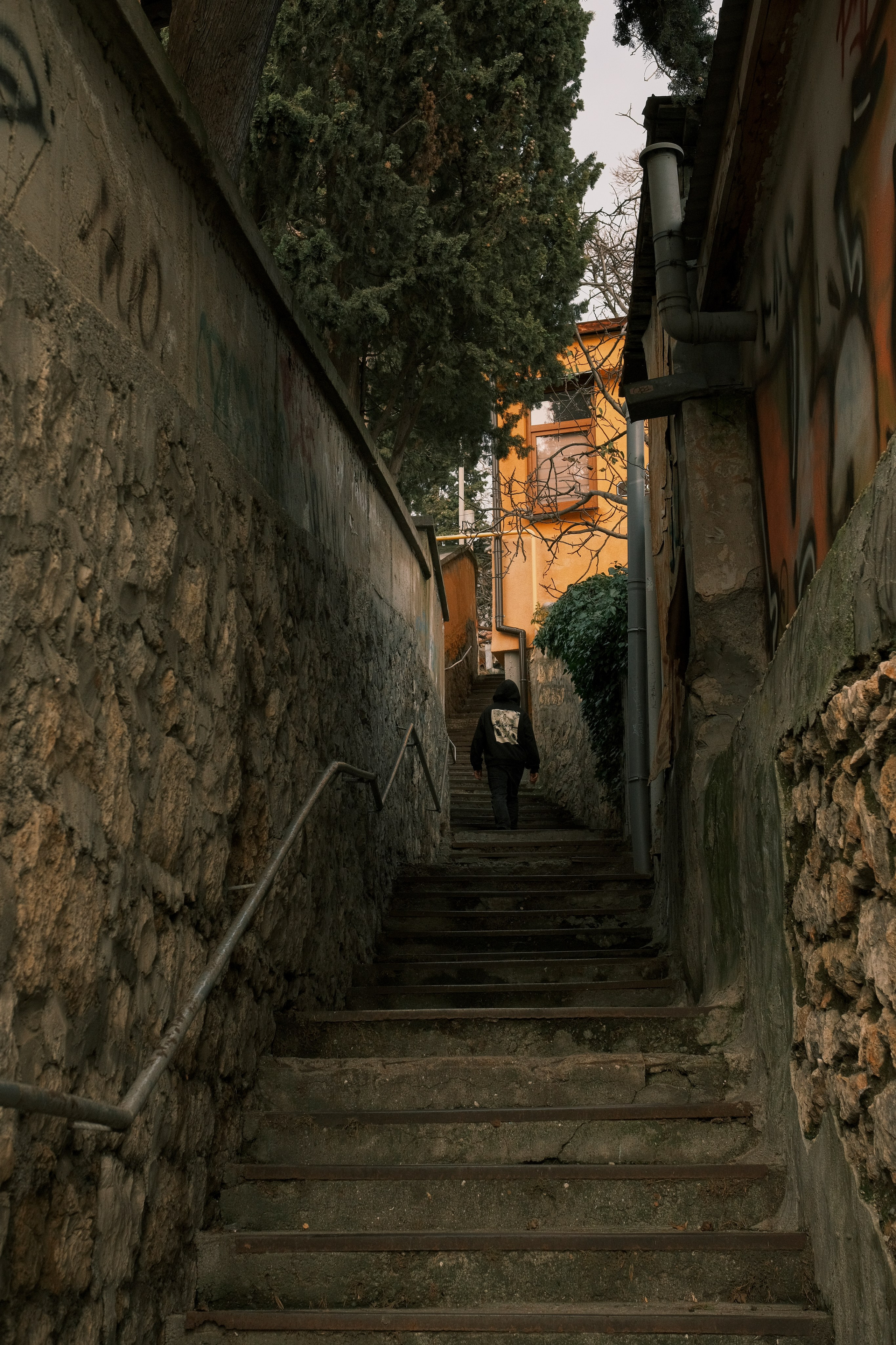 Fine & Summer Jam. Фотограф, видеограф в Санкт-Петербурге