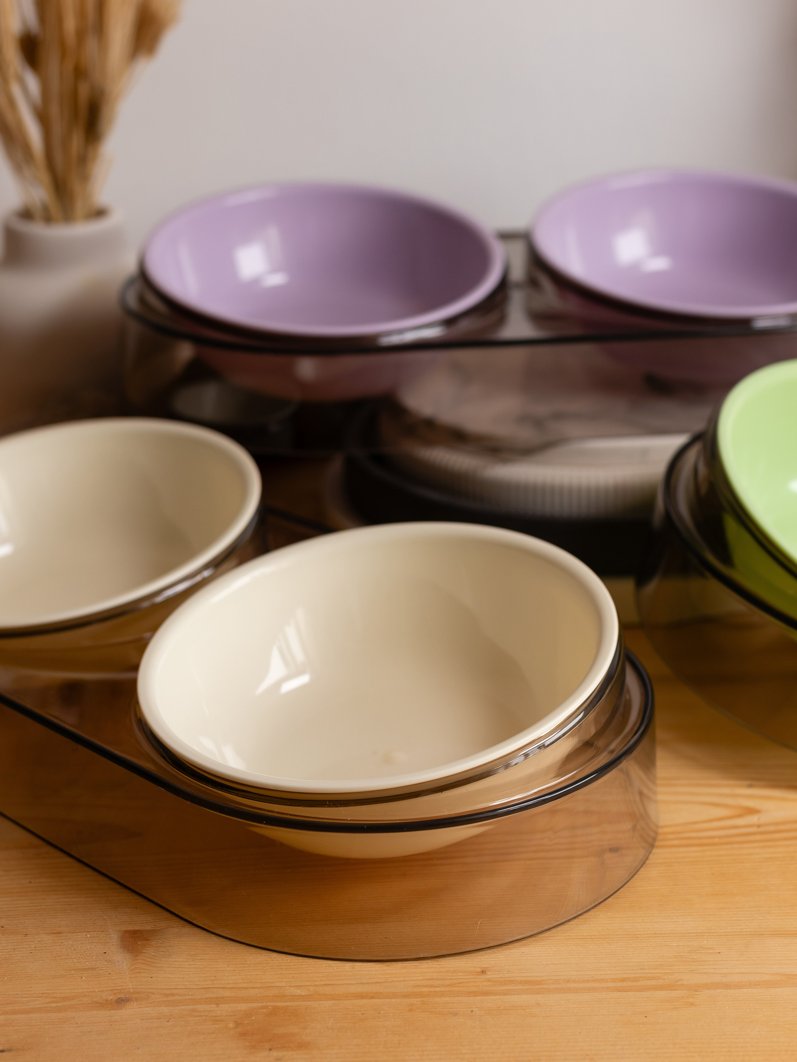 Миска для собаки. Фотограф в Краснодаре Арина Кудряшова