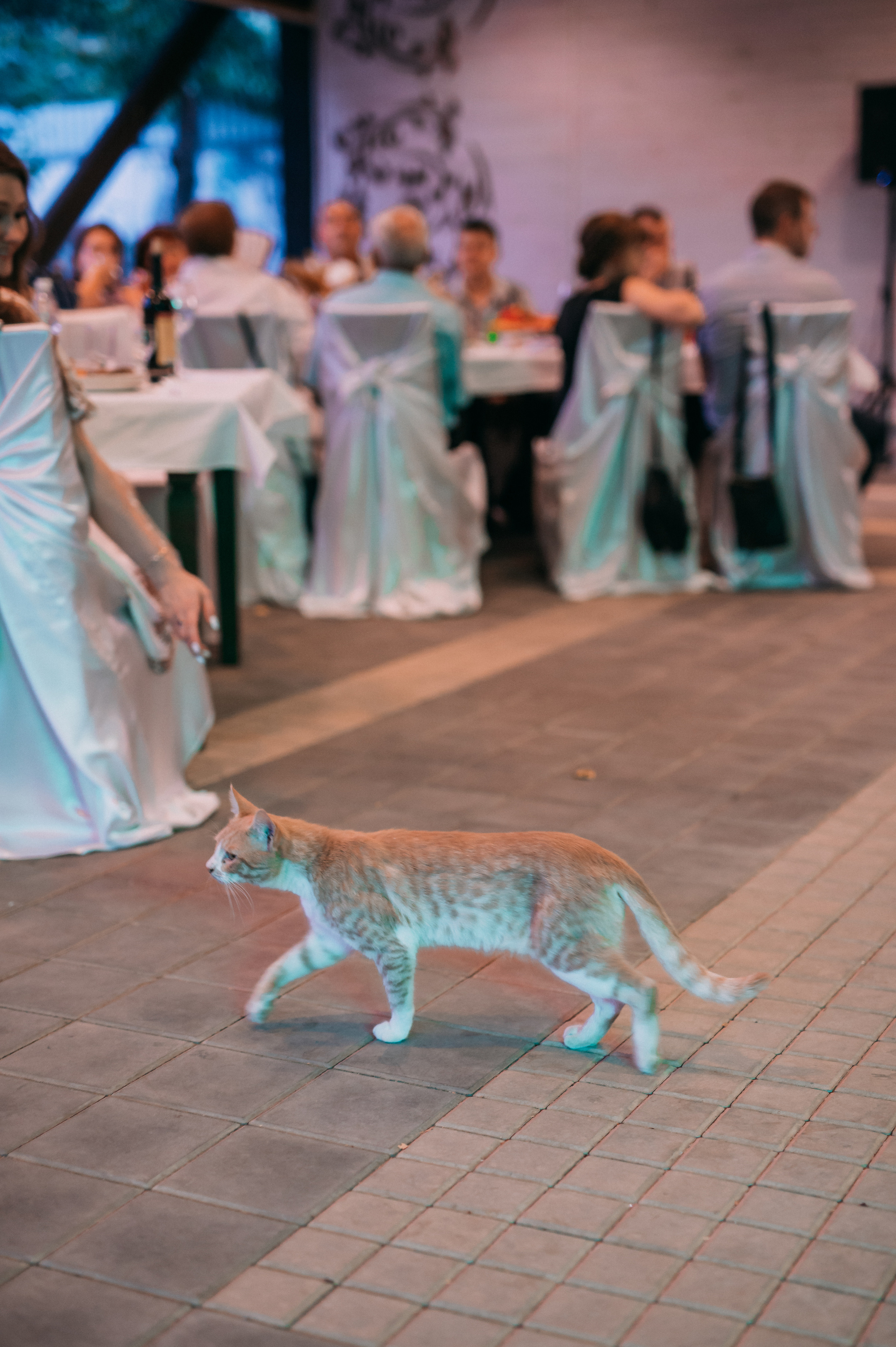 Андрей + Света. Свадебный фотограф Волжский Волгоград Каблов Николай