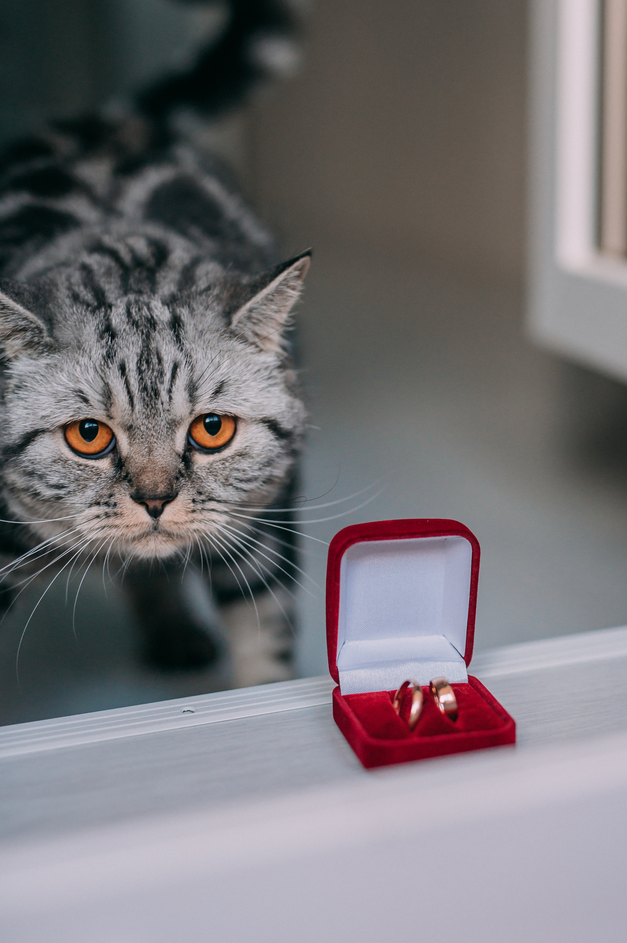Андрей + Аня. Свадебный фотограф Волжский Волгоград Каблов Николай