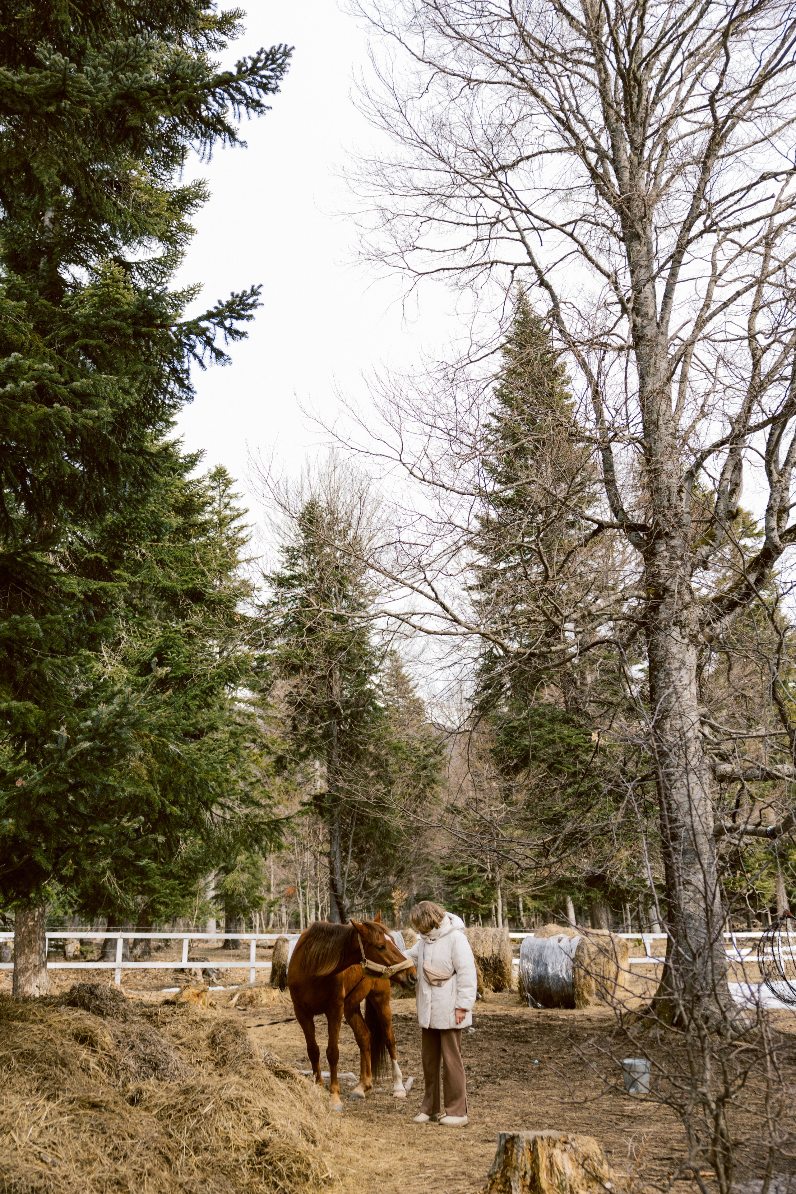 Тур, Архыз. Фотограф Эдуарда Титанян