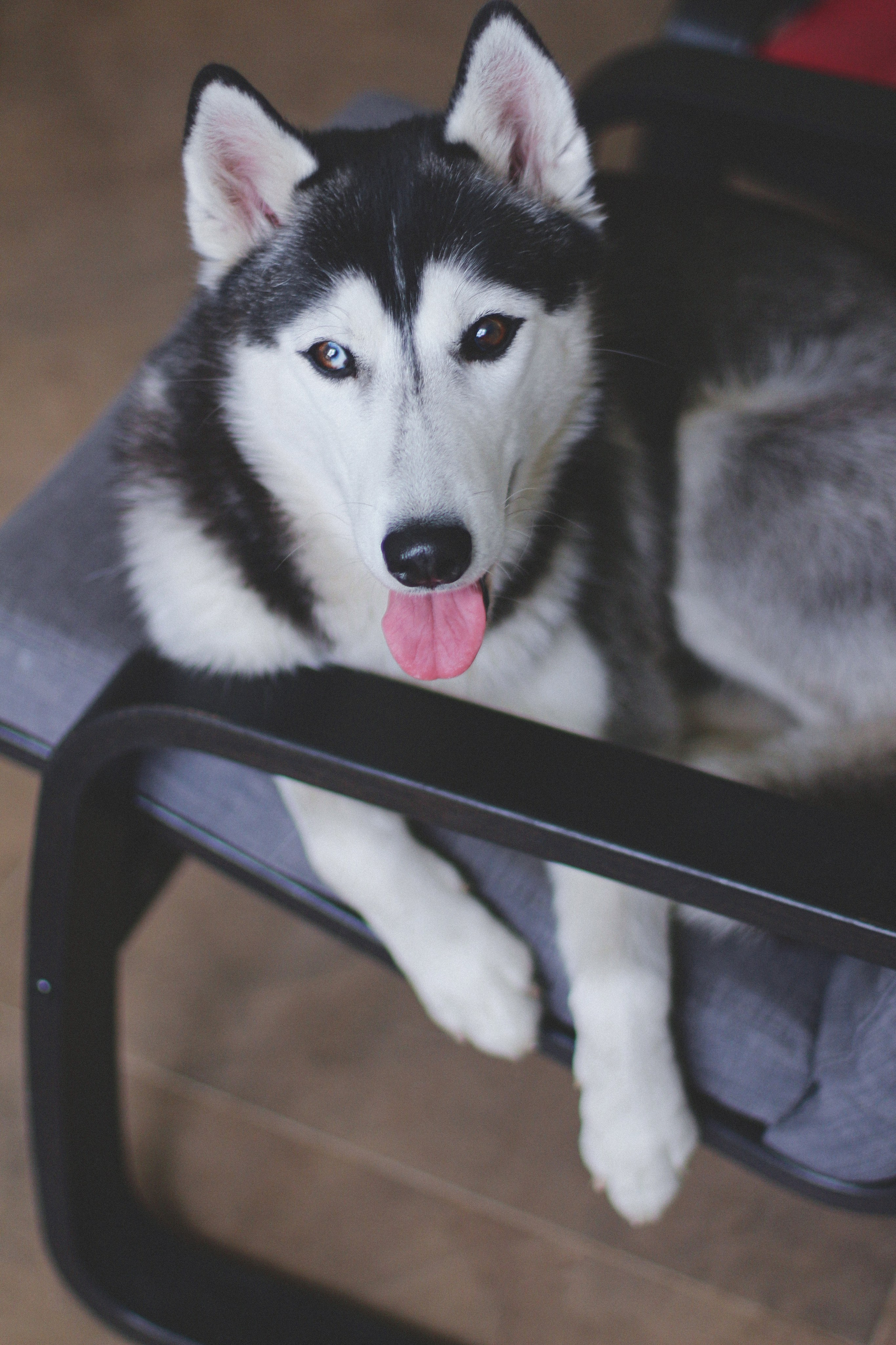 Марта. Фотограф Адигамова Юлия в Петербурге