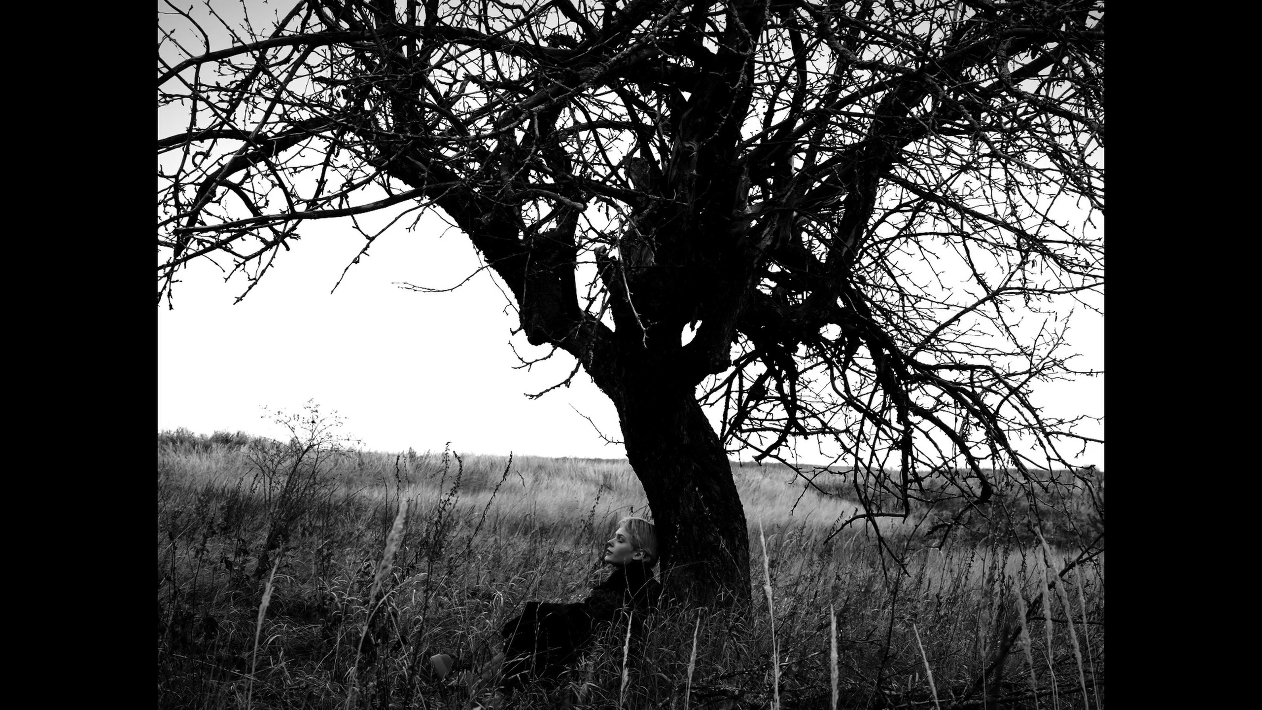 Русская тоска. Vdovina.V