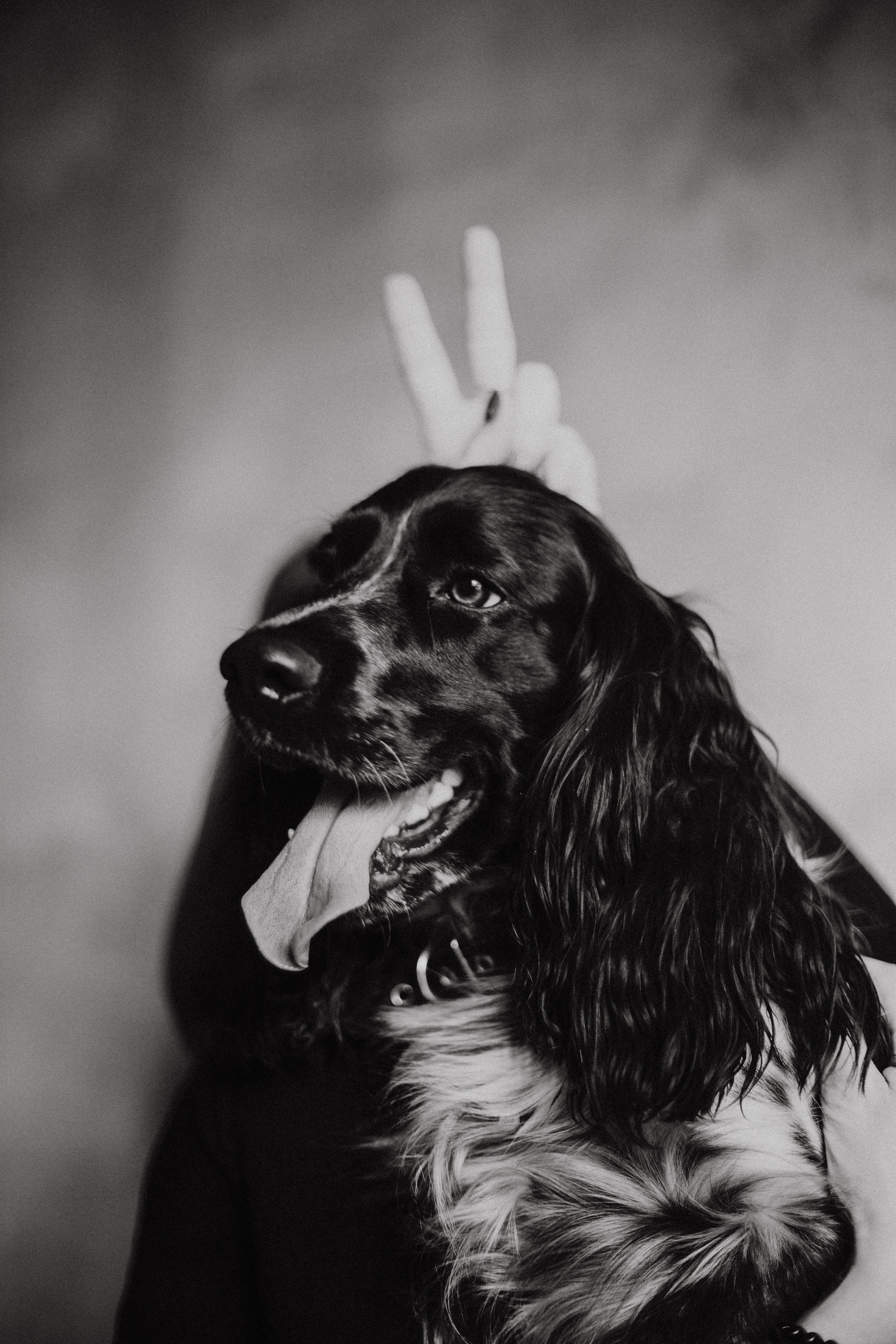 Марина и Сэм. Фотограф в Нижнем Новгороде