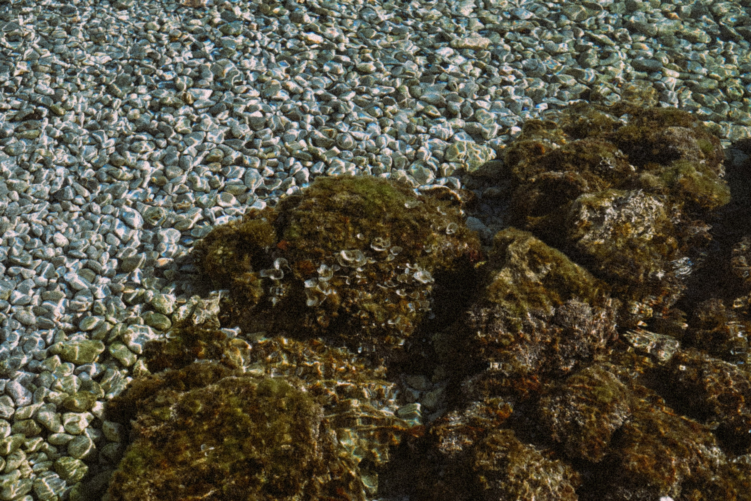 Калимнос Пасха 2025. Anita_photo