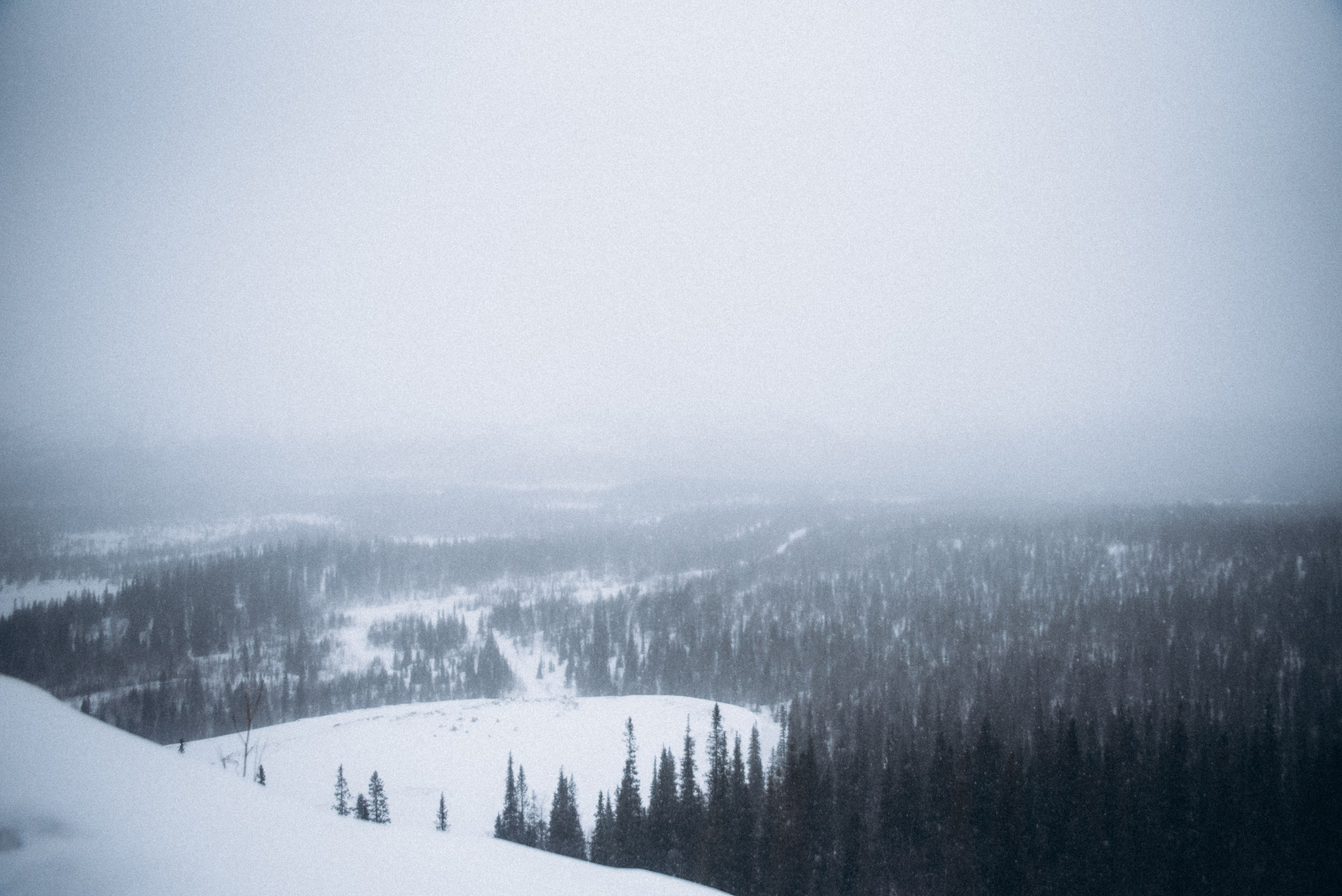 Териберка, Мурманск, Россия 🇷🇺. Anita_photo