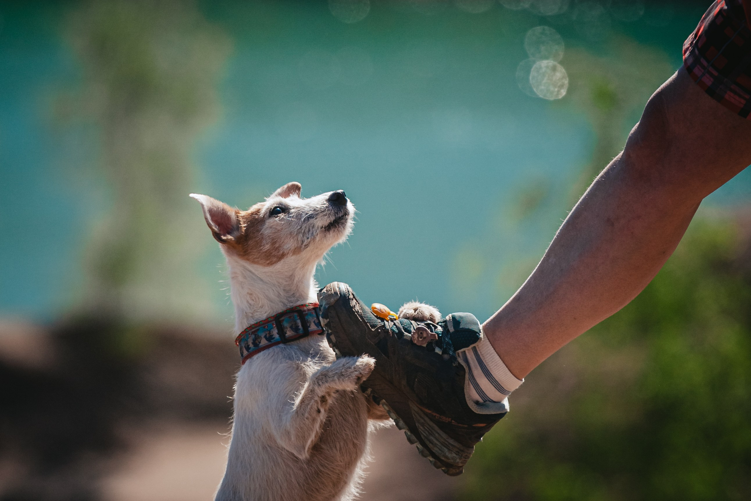 Кондуки. Фотограф-анималист Татьяна Степанова