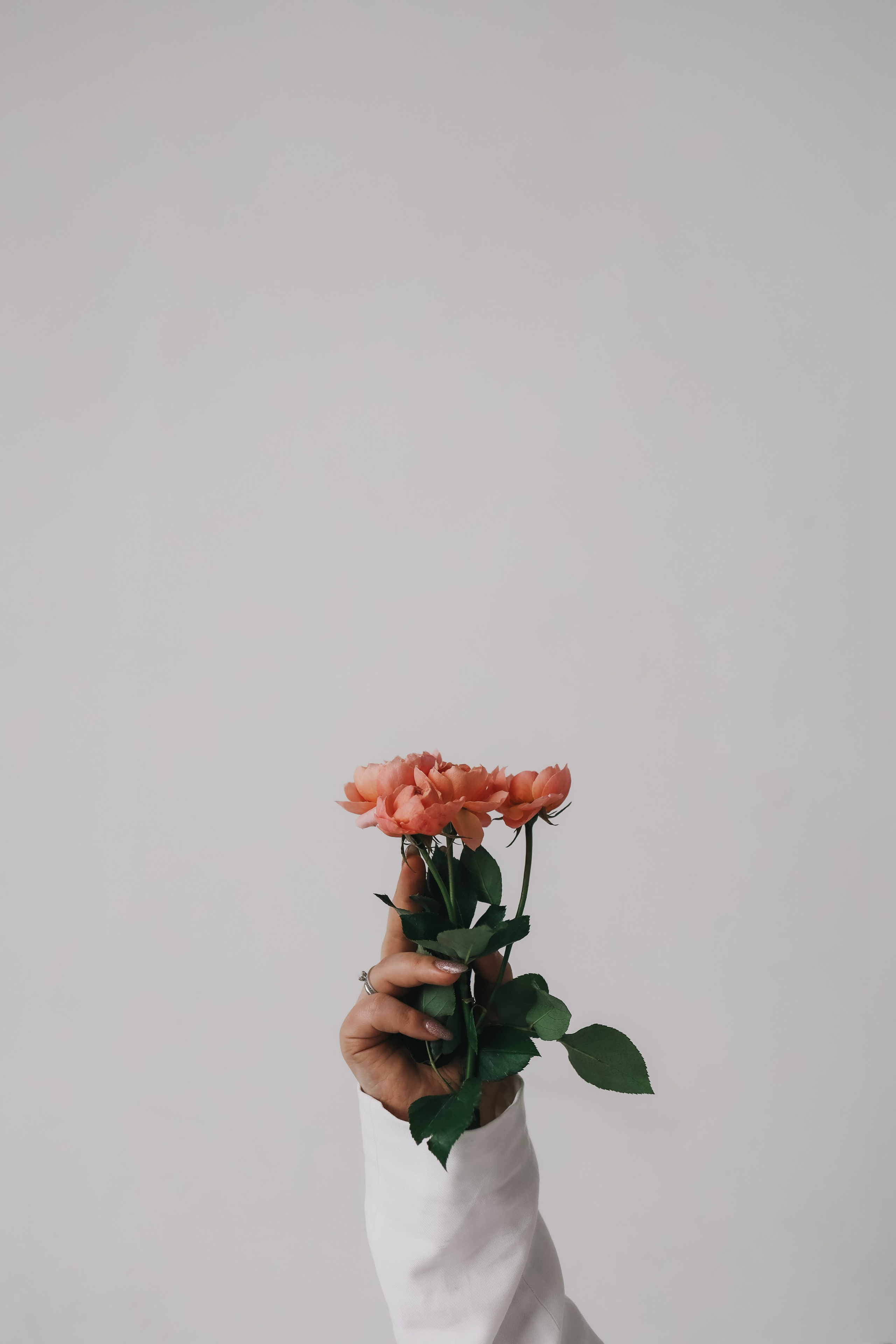 Женский портрет. Женский Семейный фотограф Москва Евгения Рец